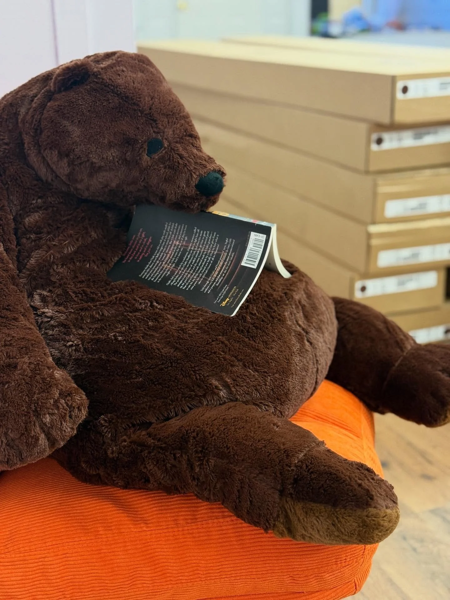 We&rsquo;re glad somebody&rsquo;s enjoying a book while we work on these shelves&hellip; 🧸🧡 Box Turtle Books is making steady progress and we&rsquo;re keen to see your faces in our store before the holiday season is fully upon us. Stay tuned for mo