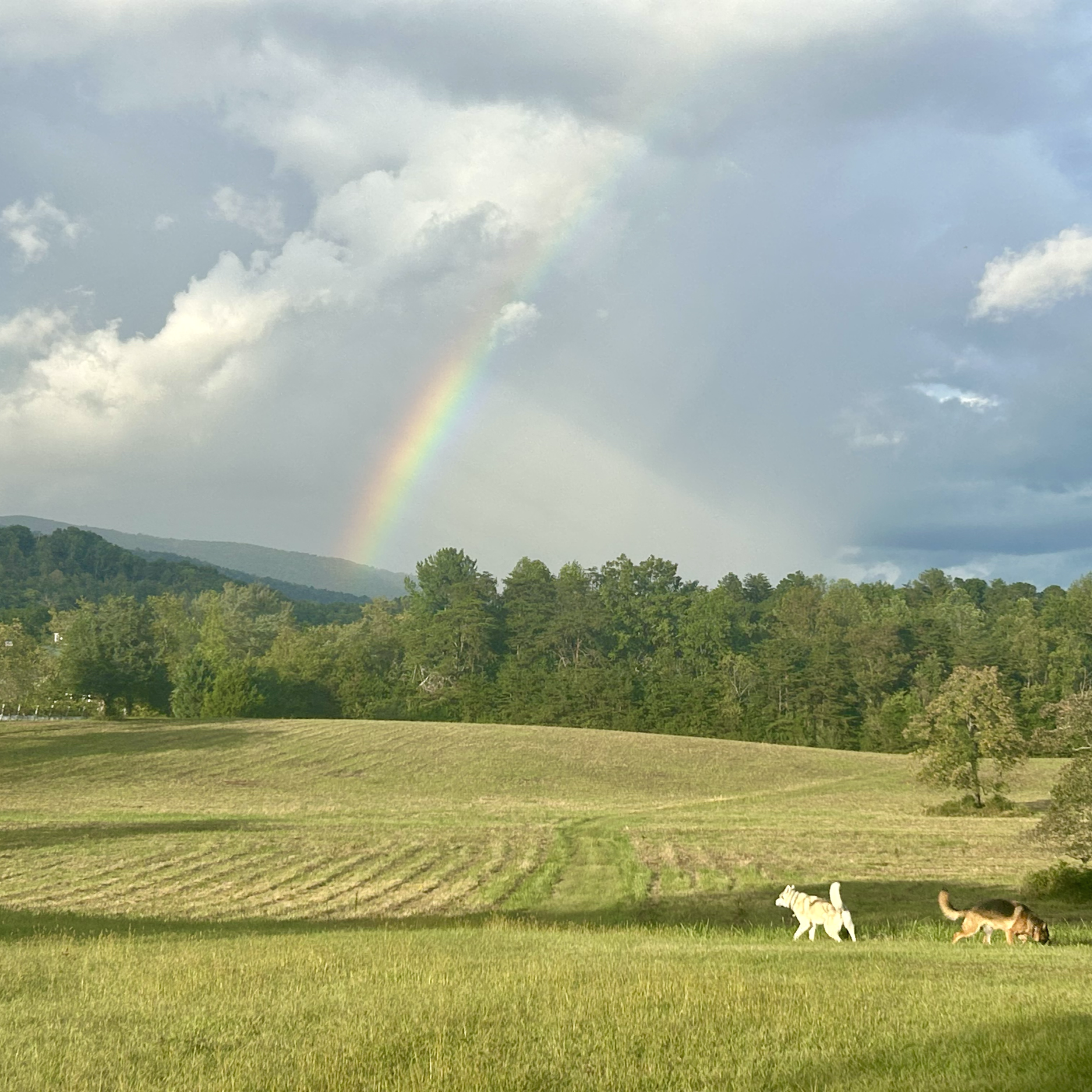 HOUSE RED RESIDENTIAL & ENVIRONMENTAL DESIGN