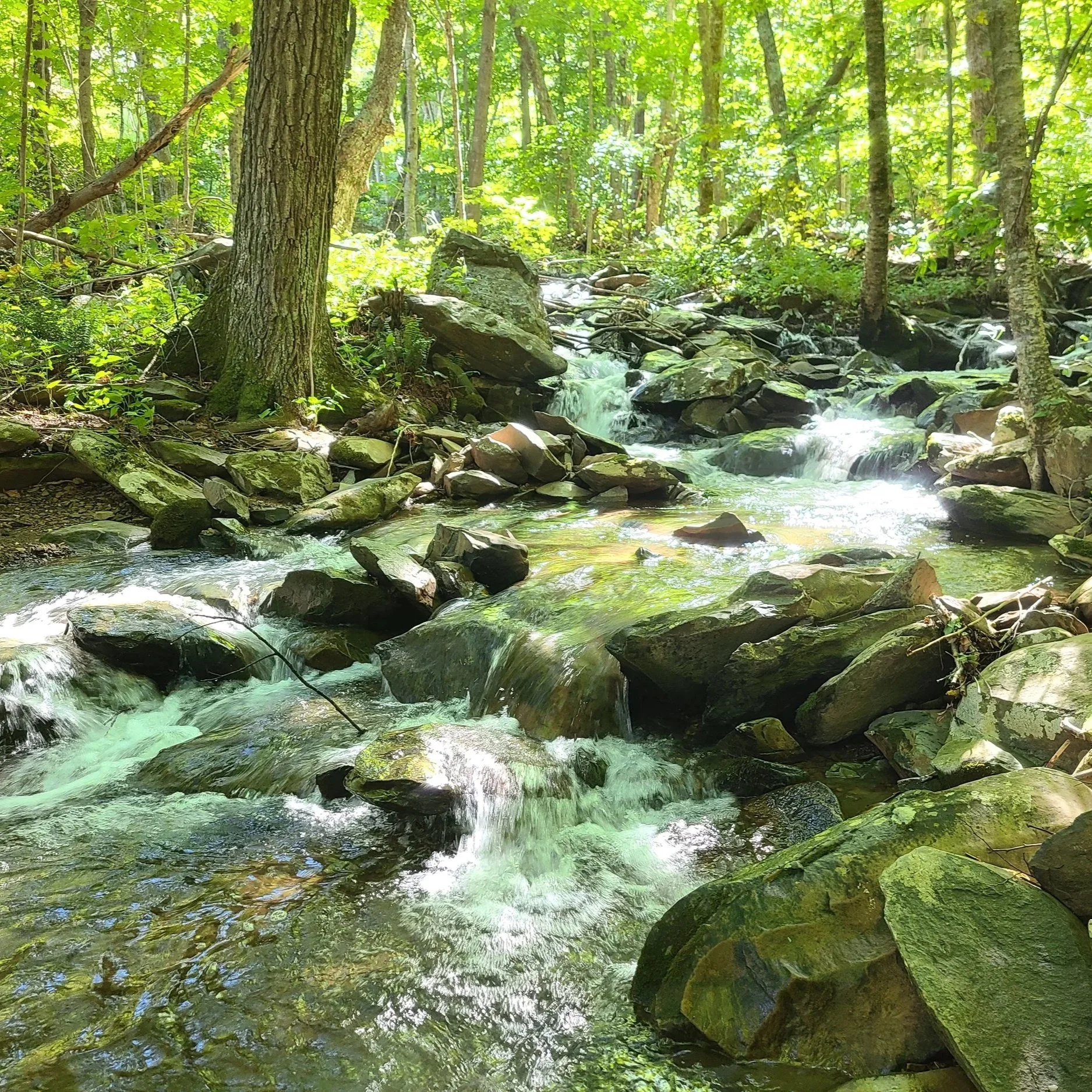 NEUROPTIMAL® NEUROFEEDBACK SESSIONS