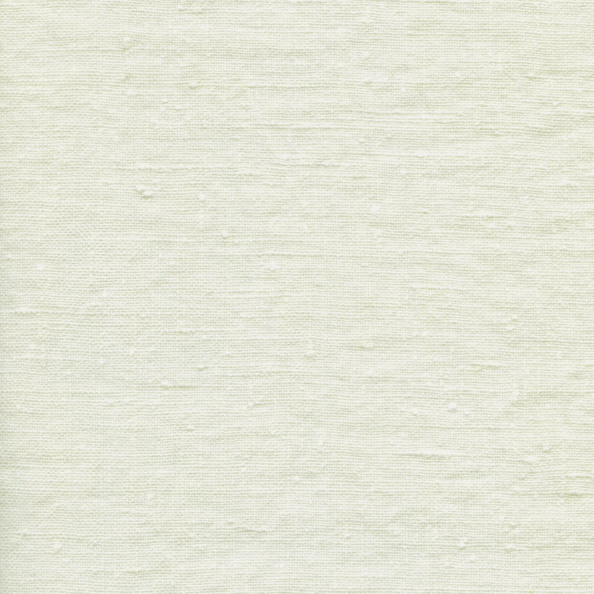 L010_Oyster-0021.jpg
