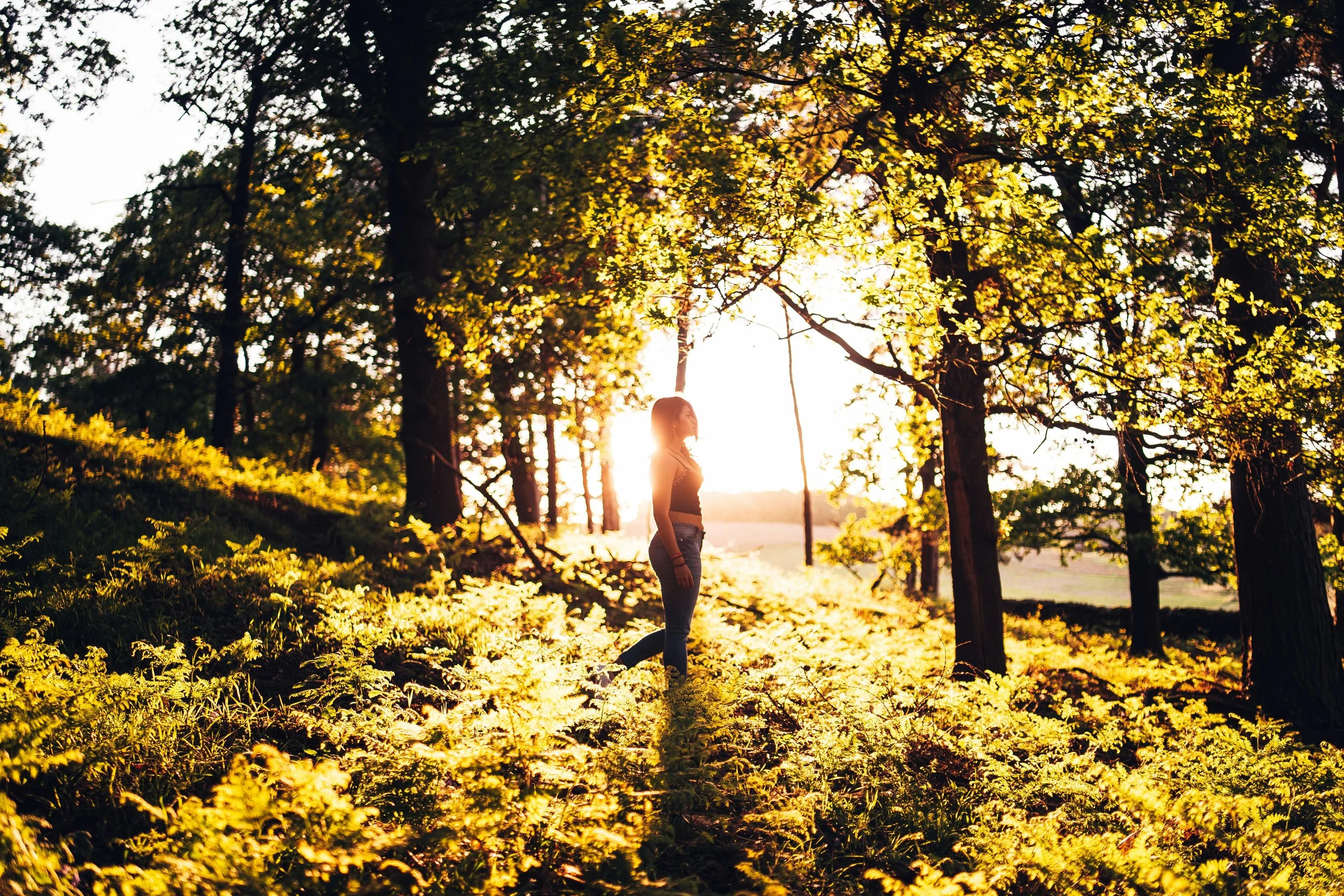 Help for Anxiety in Toronto
