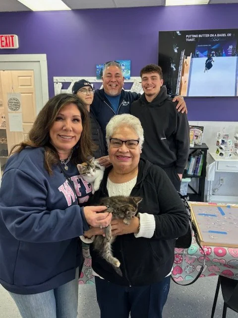 Feb 2026:  Paris & Lisbon