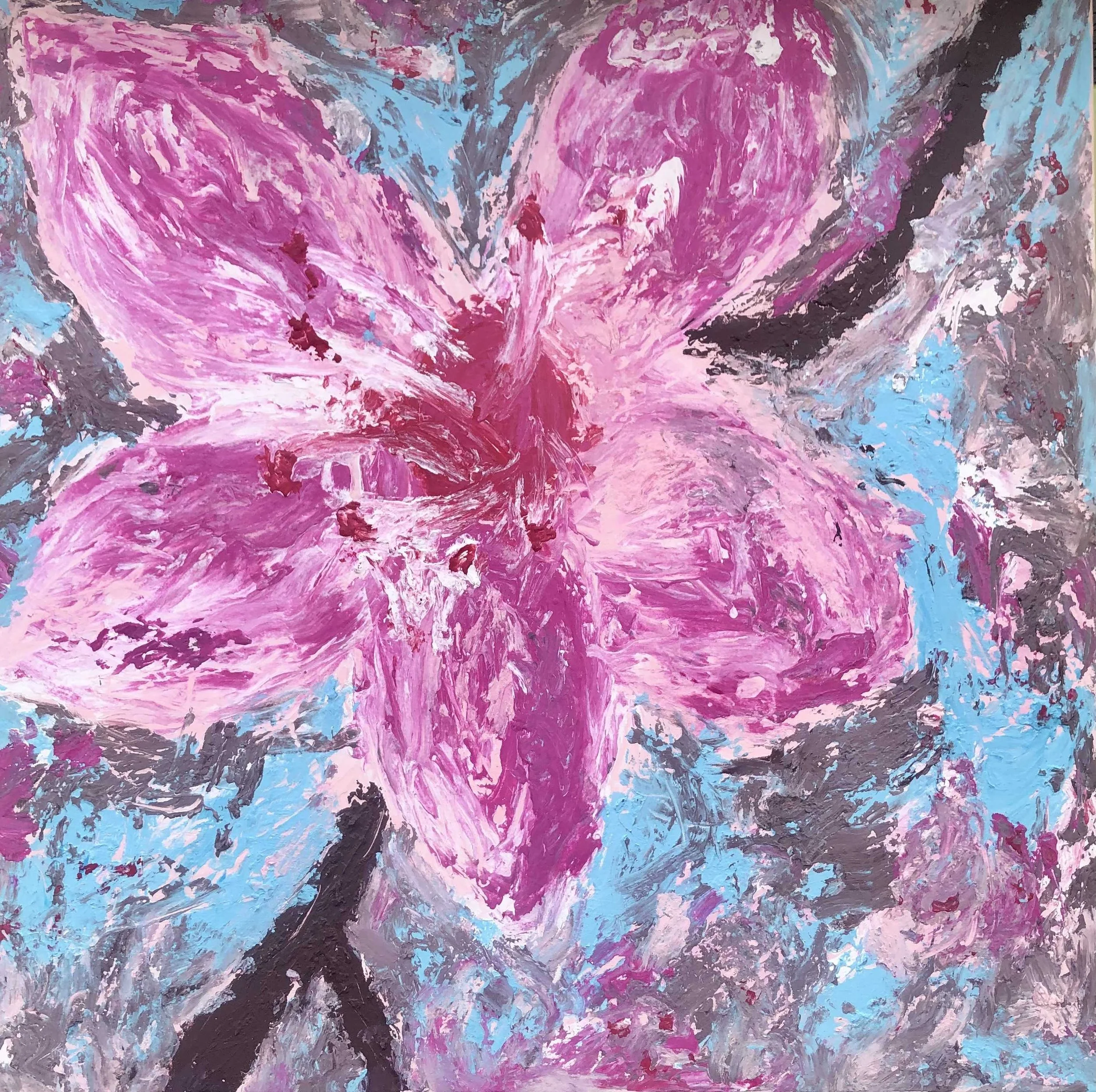 NEU: Die Kirschblüte