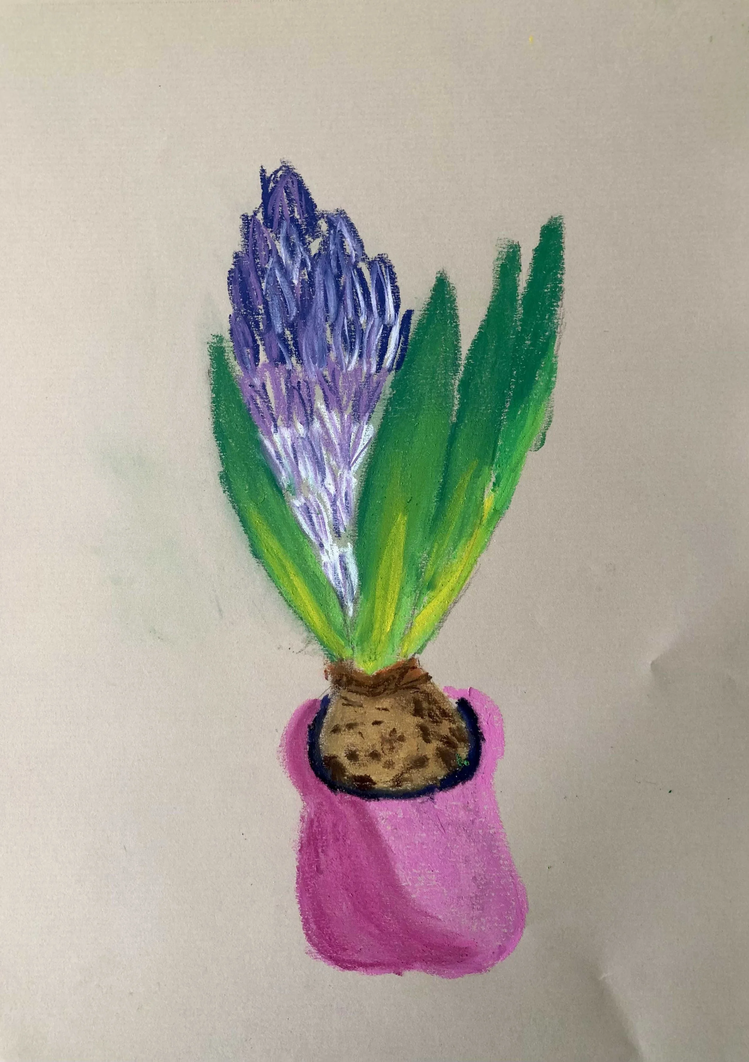 Barbara-Waldkirch-Hyazinthe-30x40cm-Pastell.jpeg