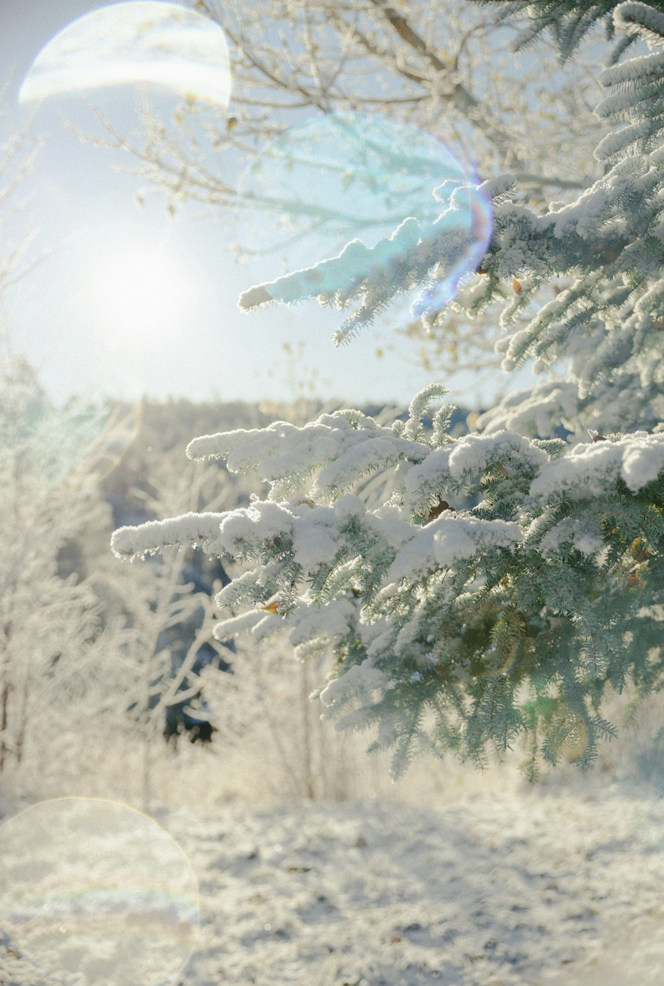 Managing the Holidays: 10 Tips for Navigating the Holidays with Emotionally and Behaviorally Sensitive Kids