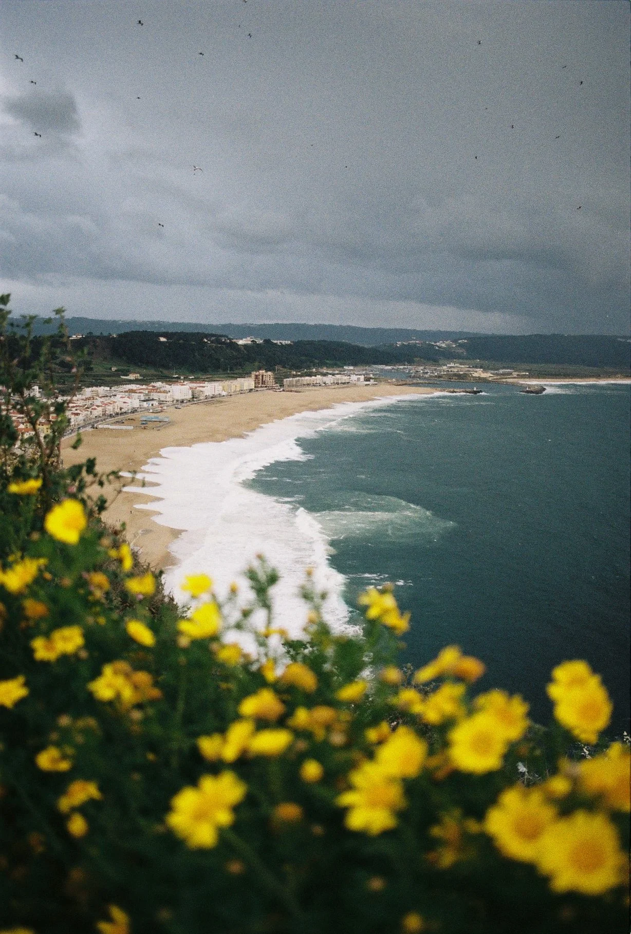 Kodak Gold 200 (30 of 33).JPG