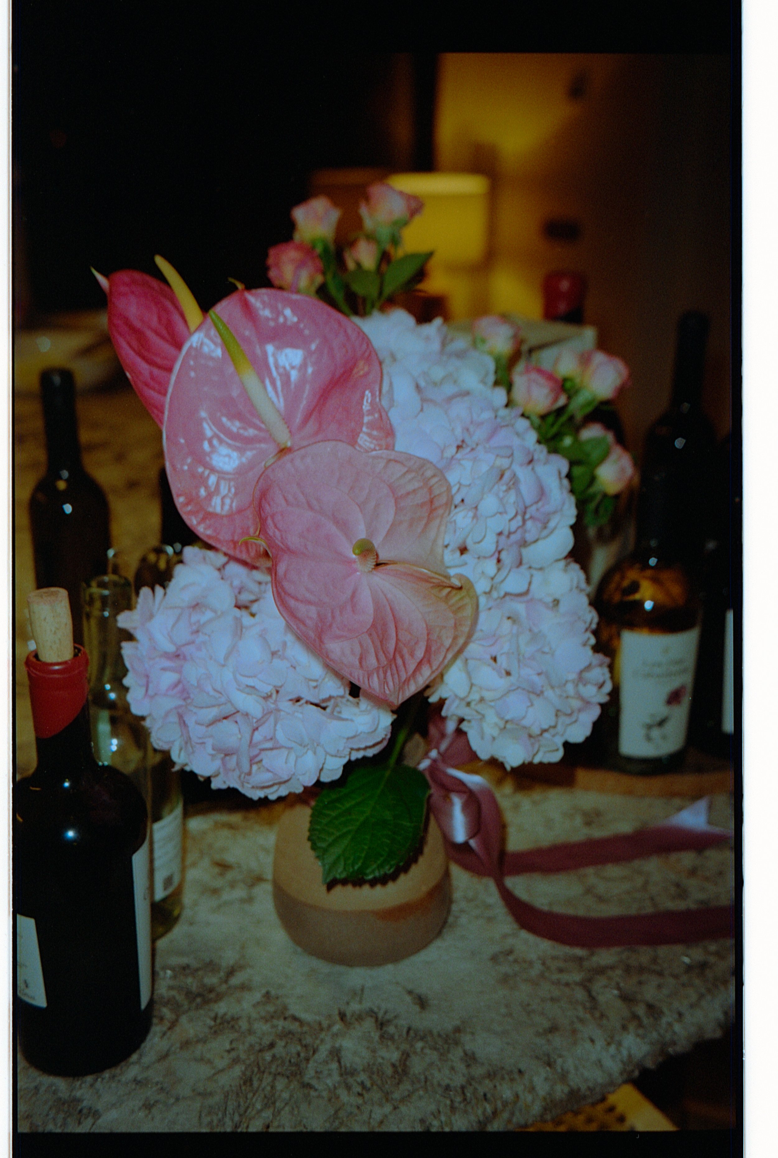 44Analog_1224to0225119.jpg