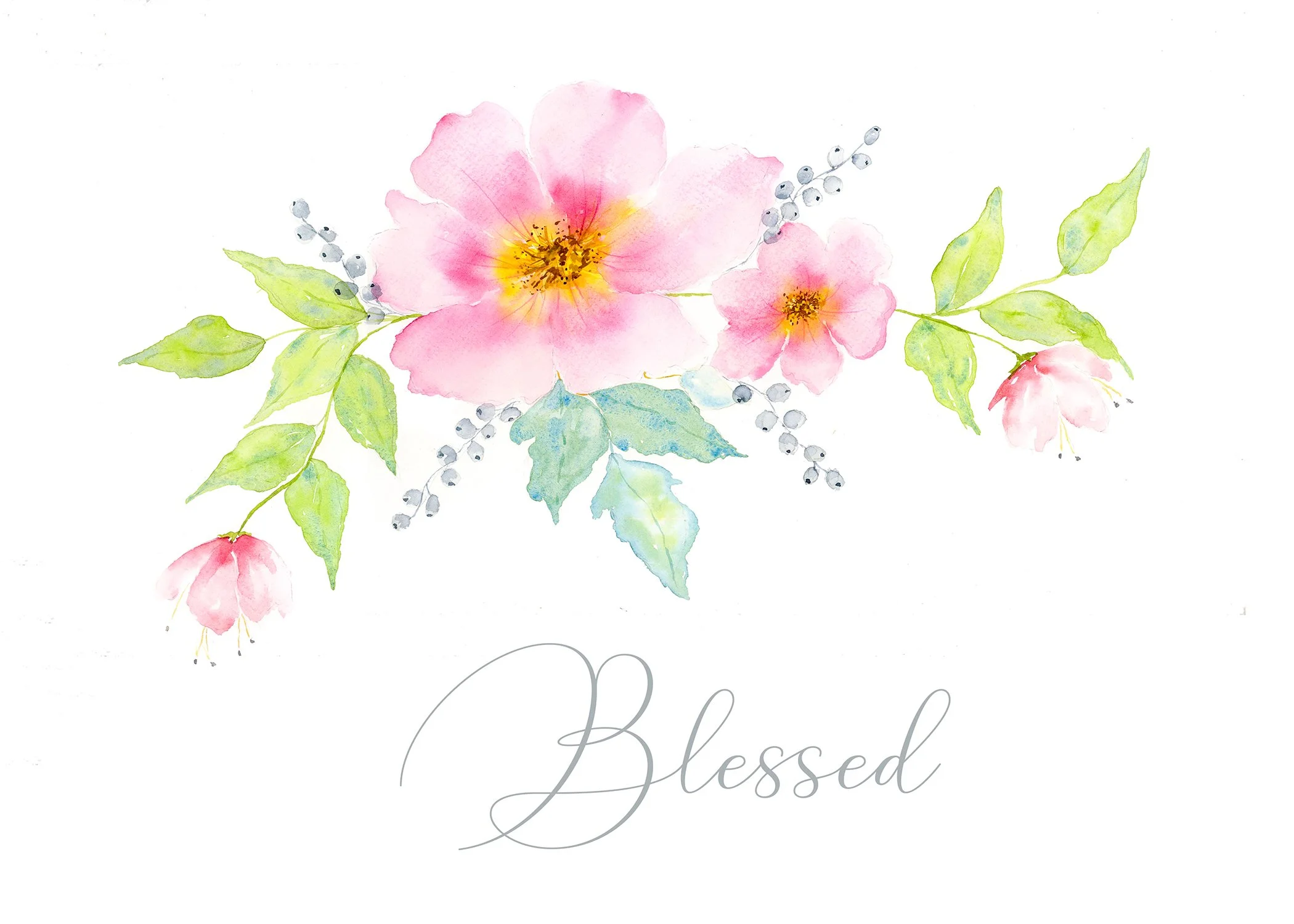 Wild Rose Blessed