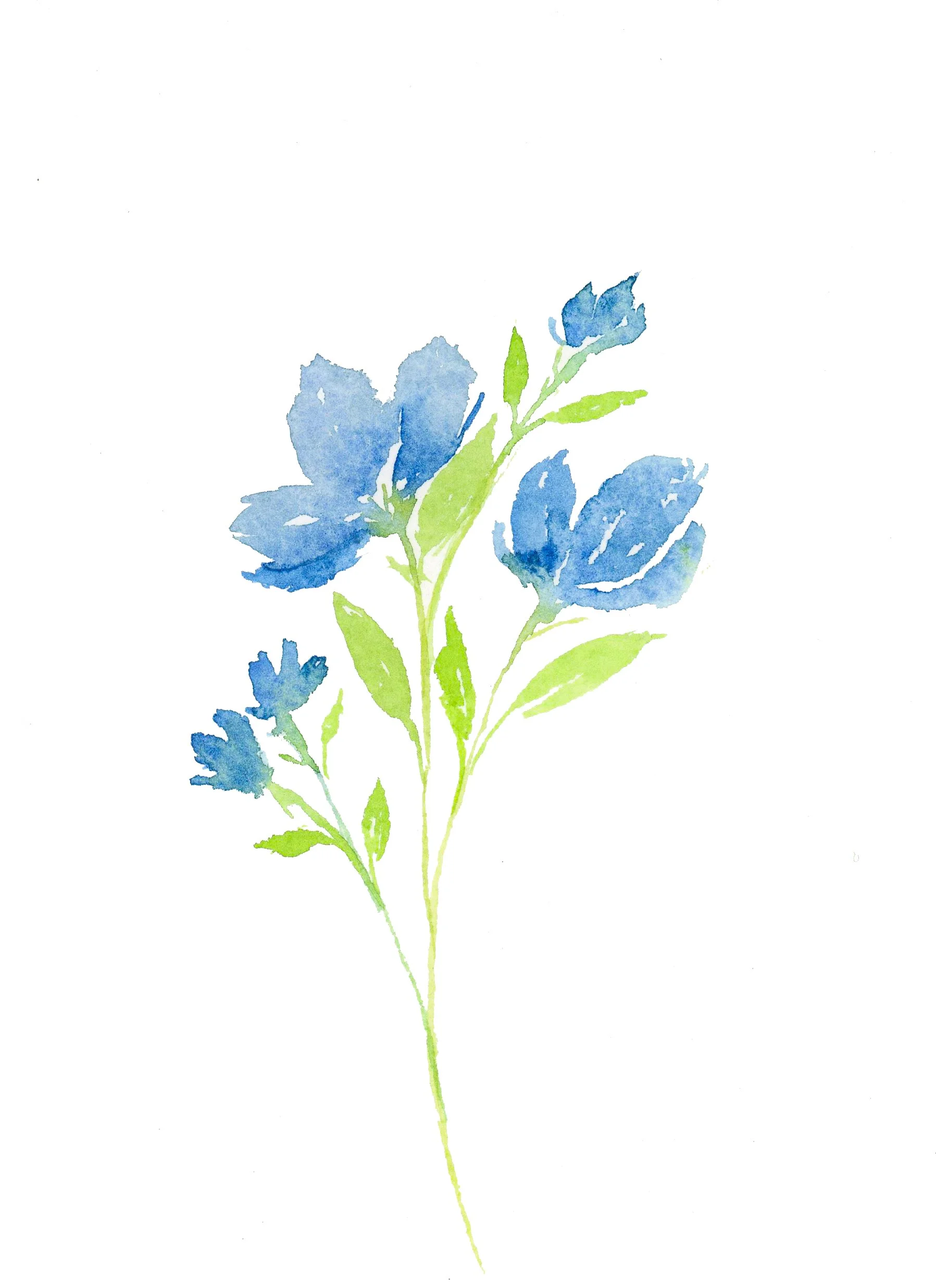 Blue Flowers.jpg
