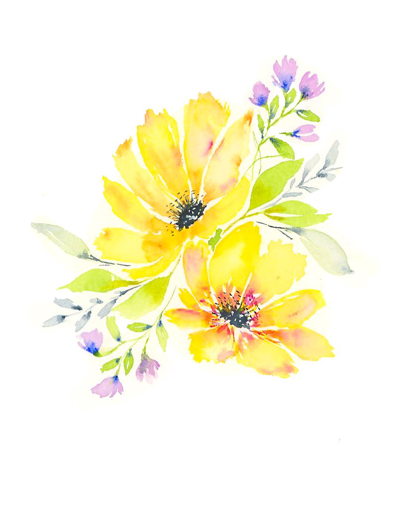 Yellow Anemone Flowers