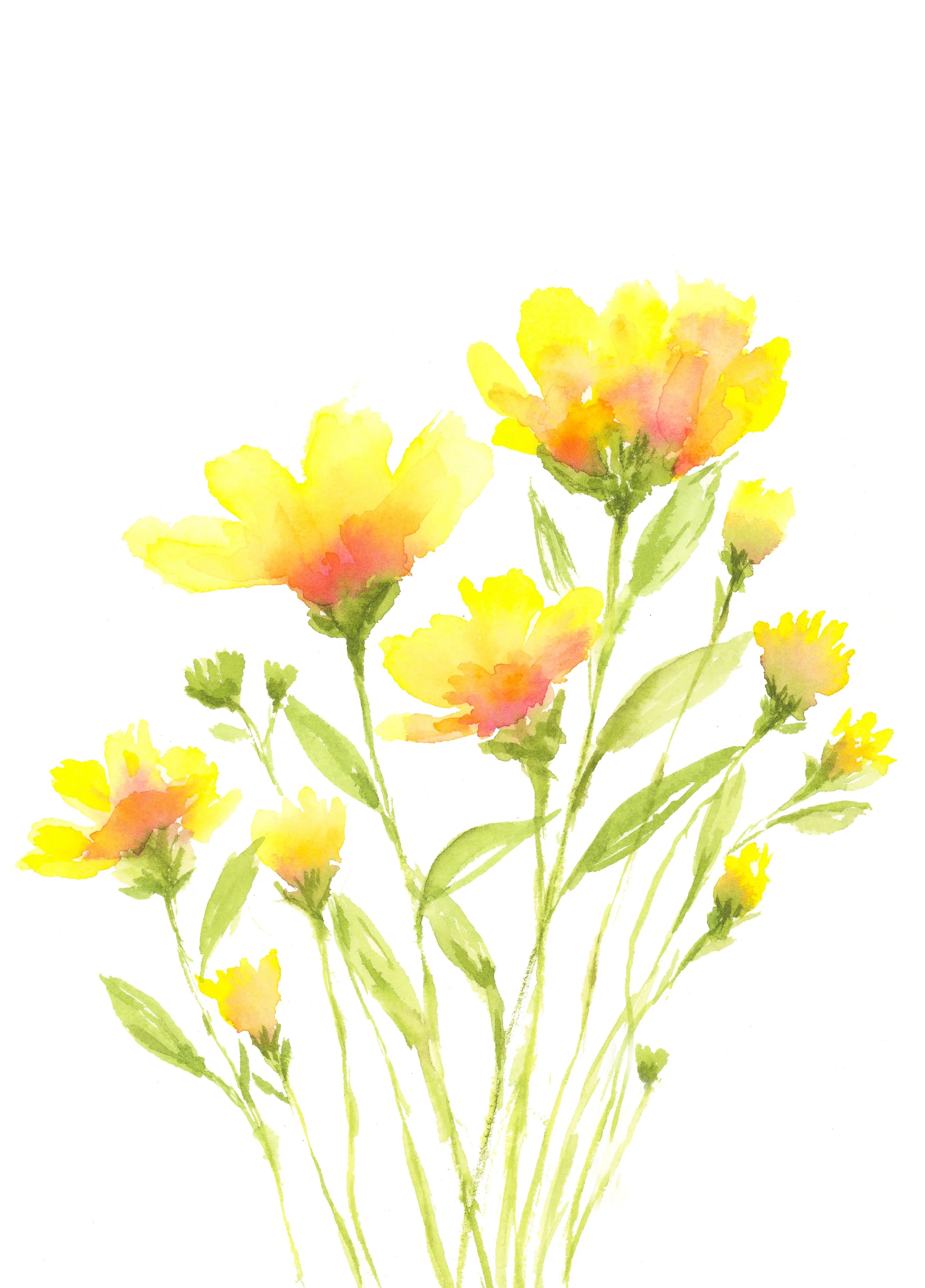 Yellow Bouquet.jpg