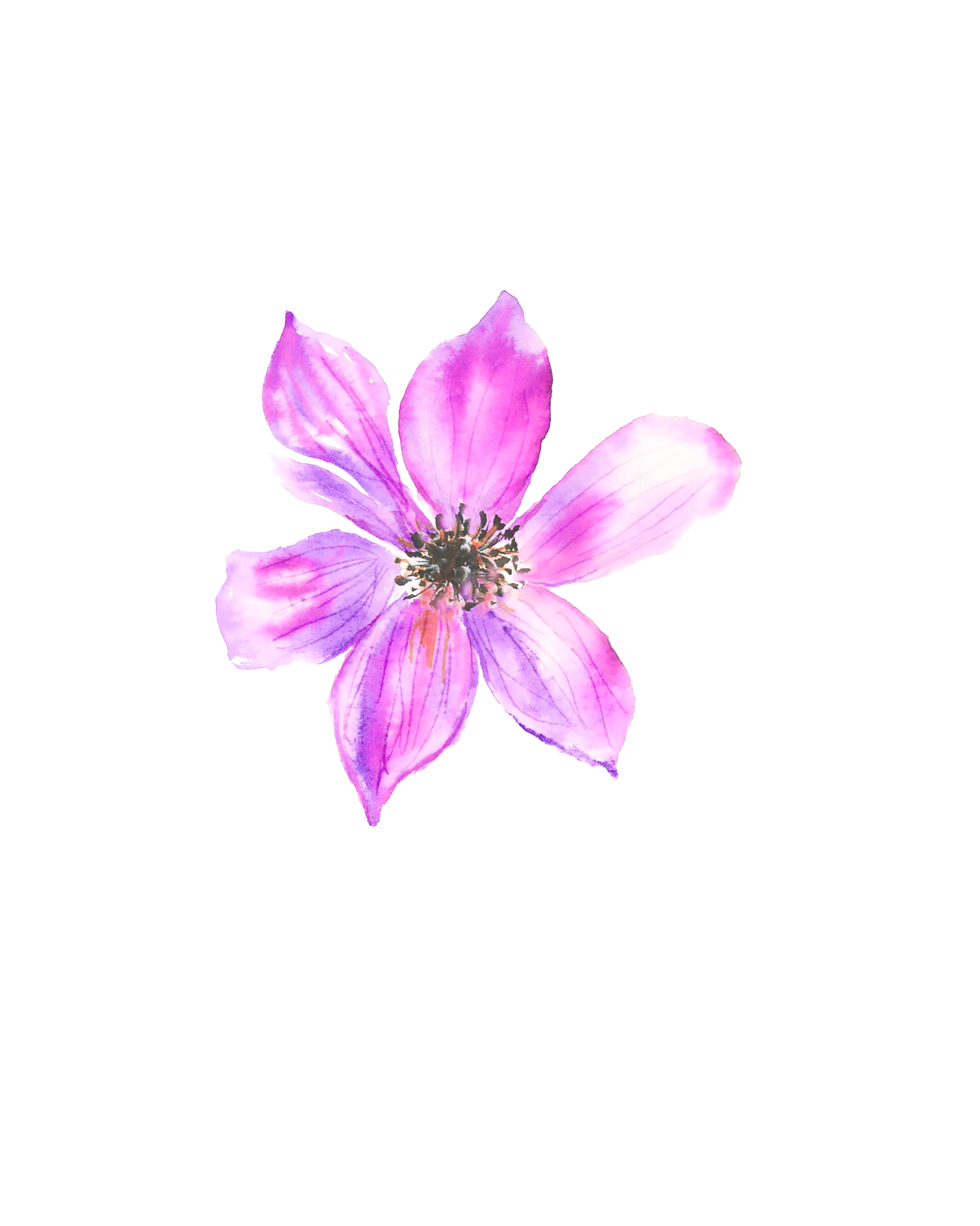 Large Purple Flower