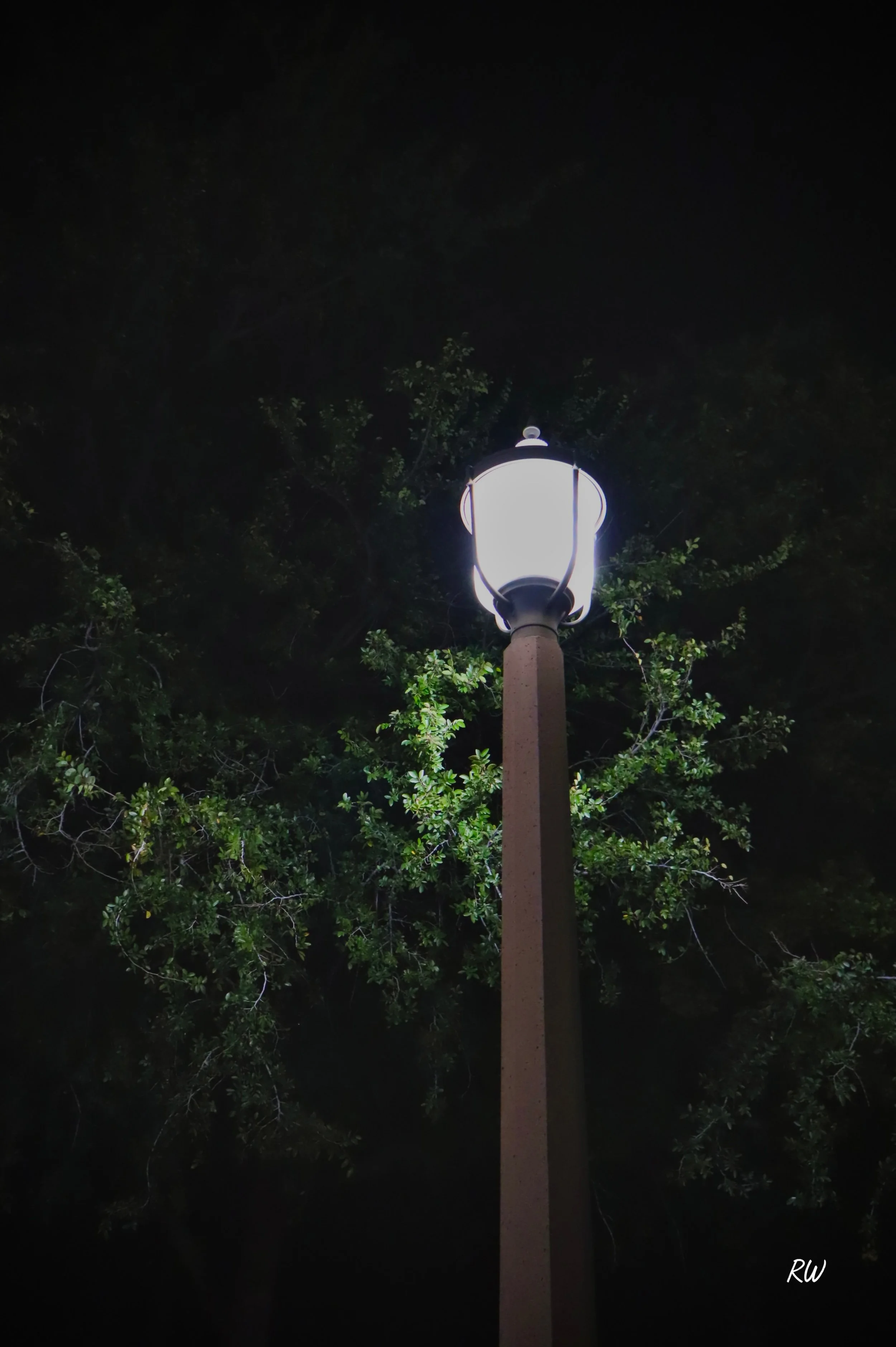 photo-output_9.jpeg