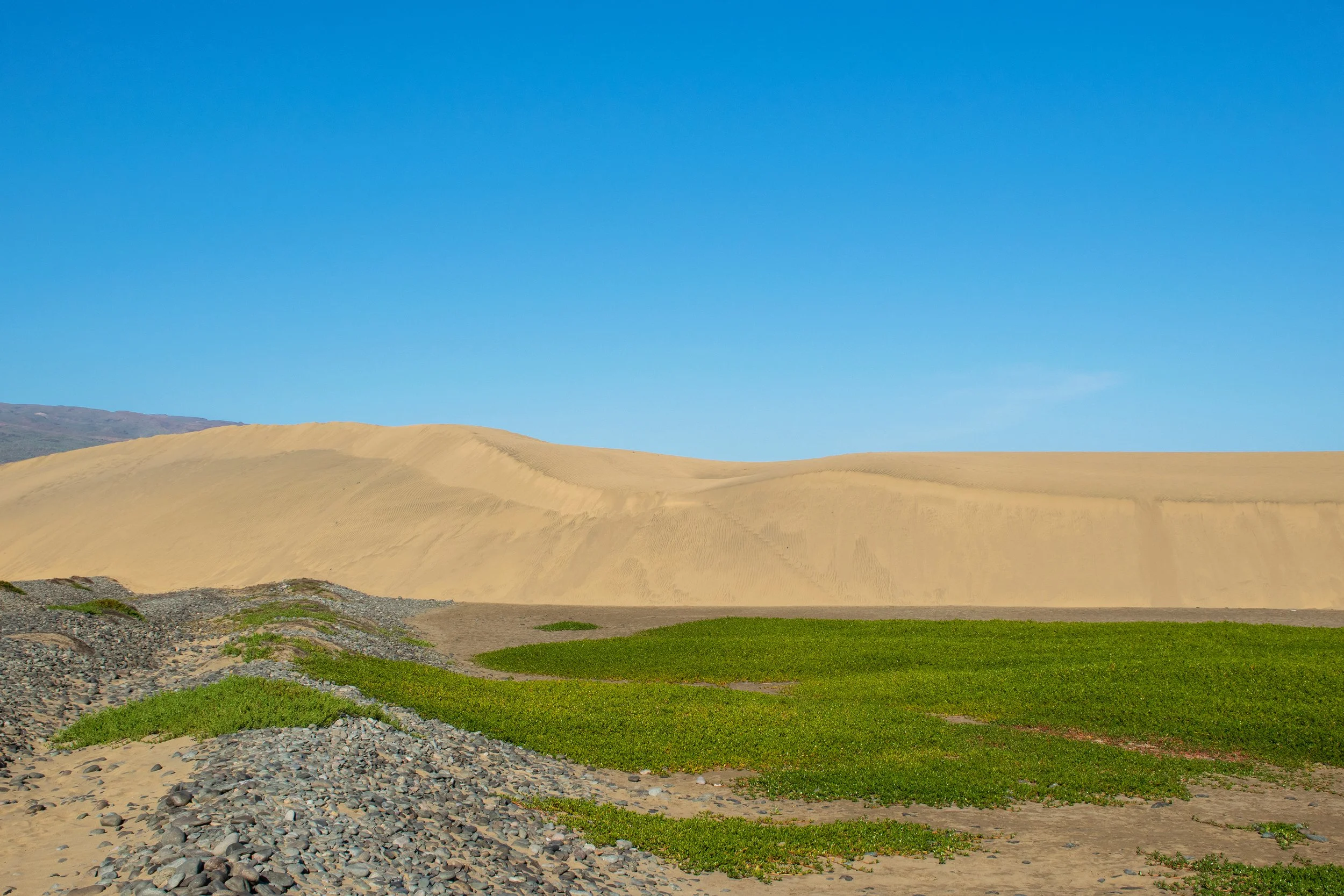 DSC_8022A.jpg