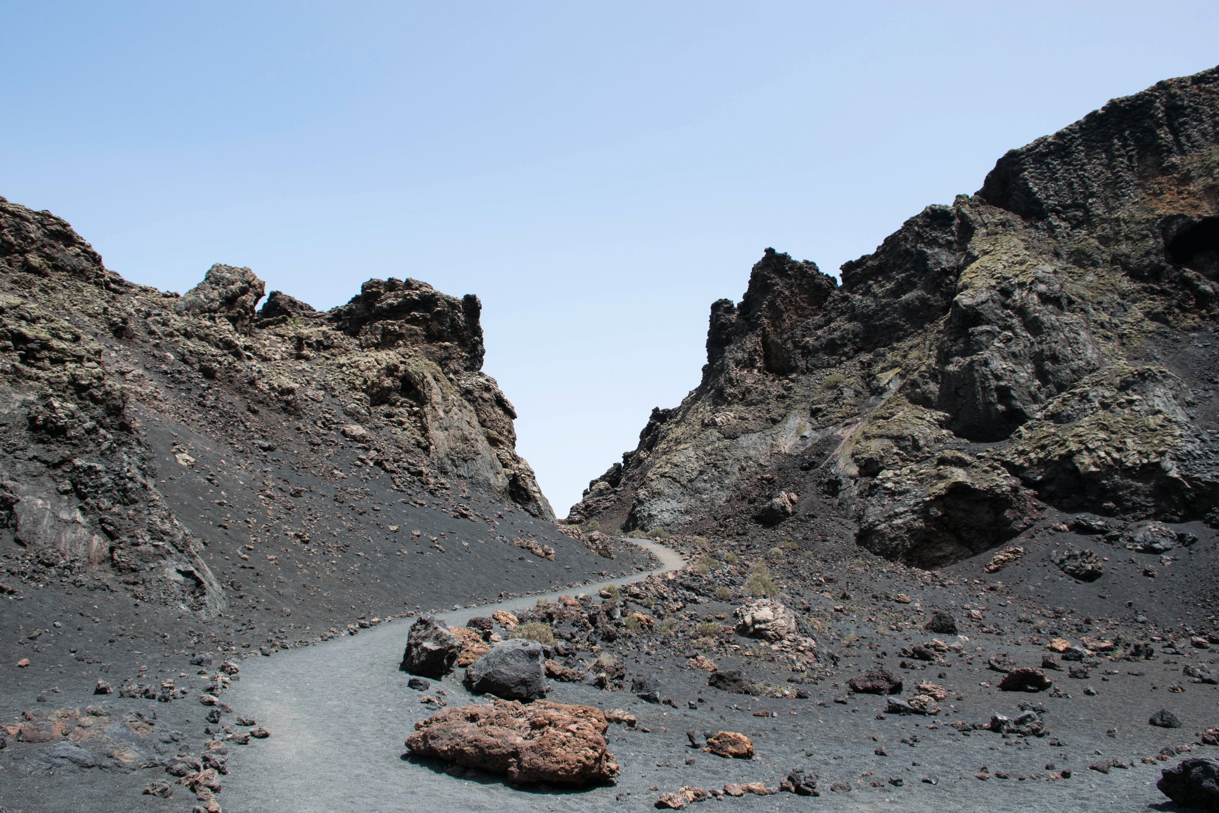 DSC_4206A.jpg