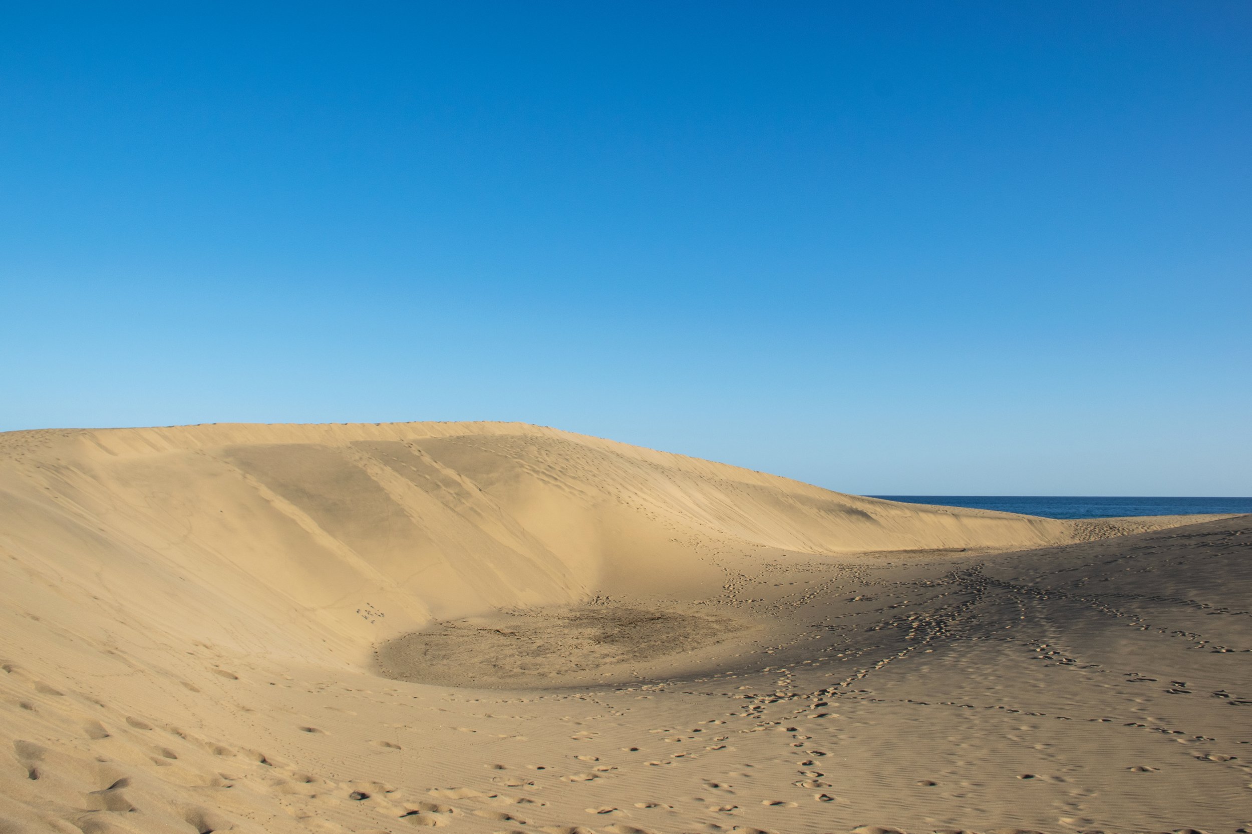 DSC_8330A.jpg