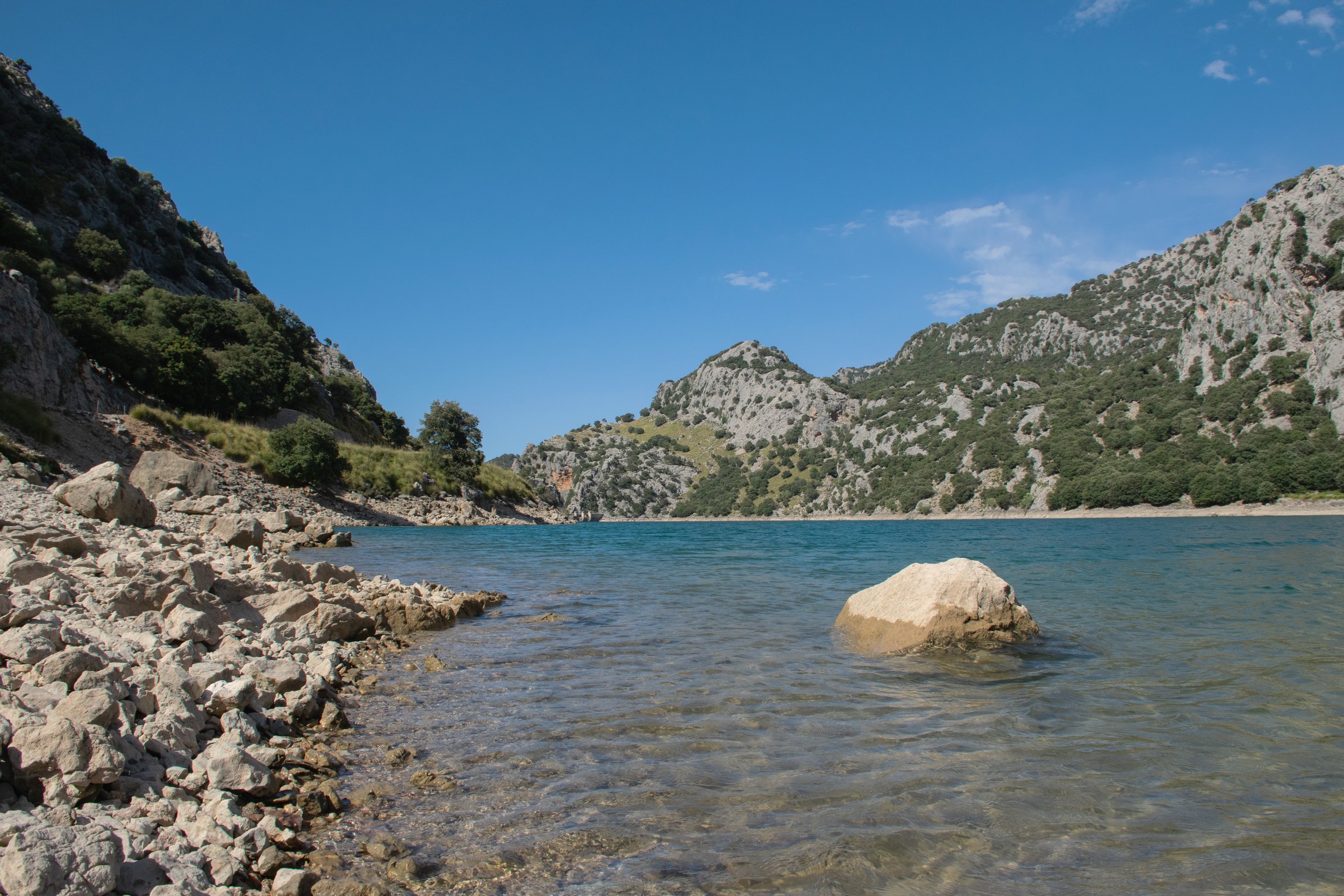 DSC_0997A.jpg