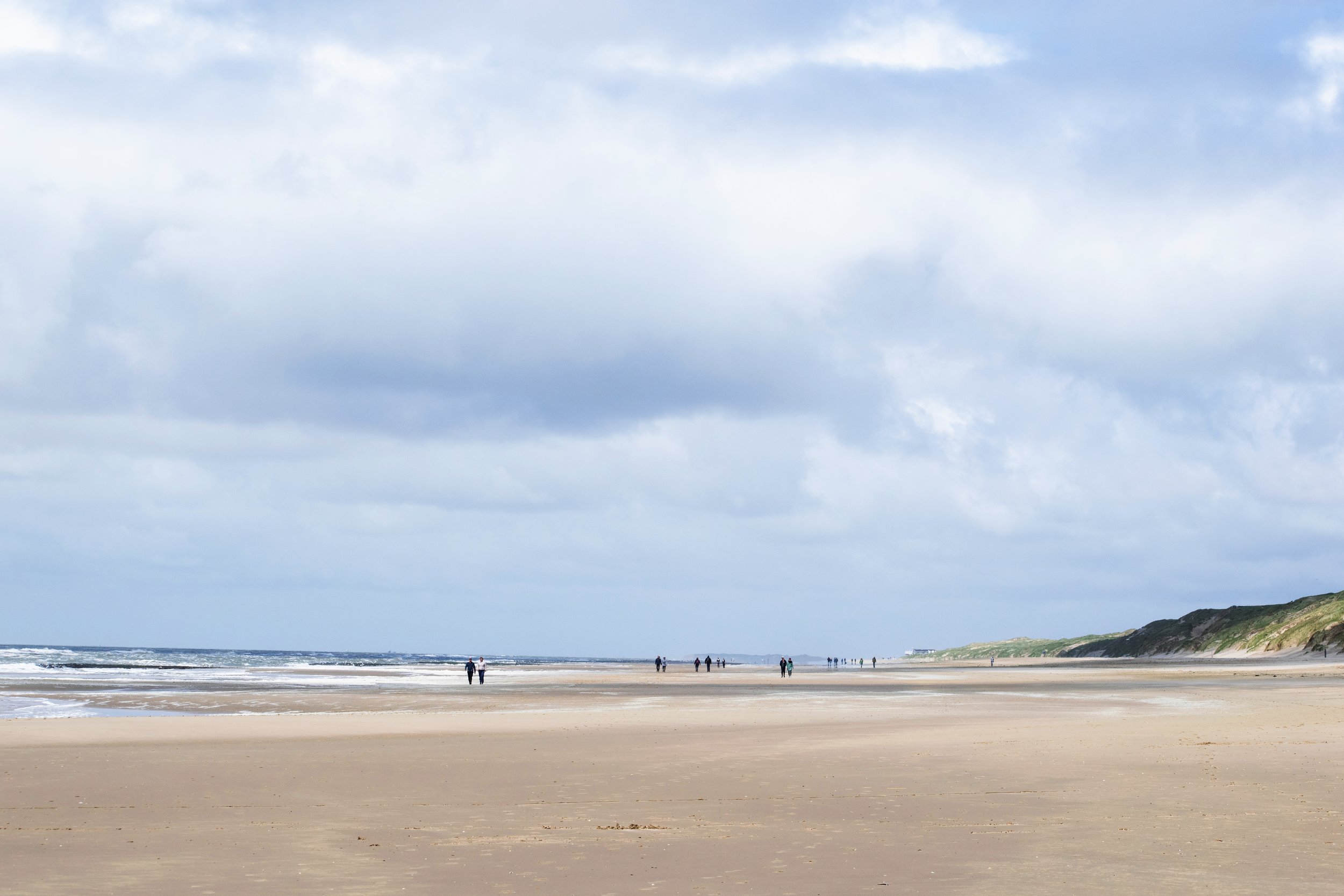 DSC_2860A.jpg