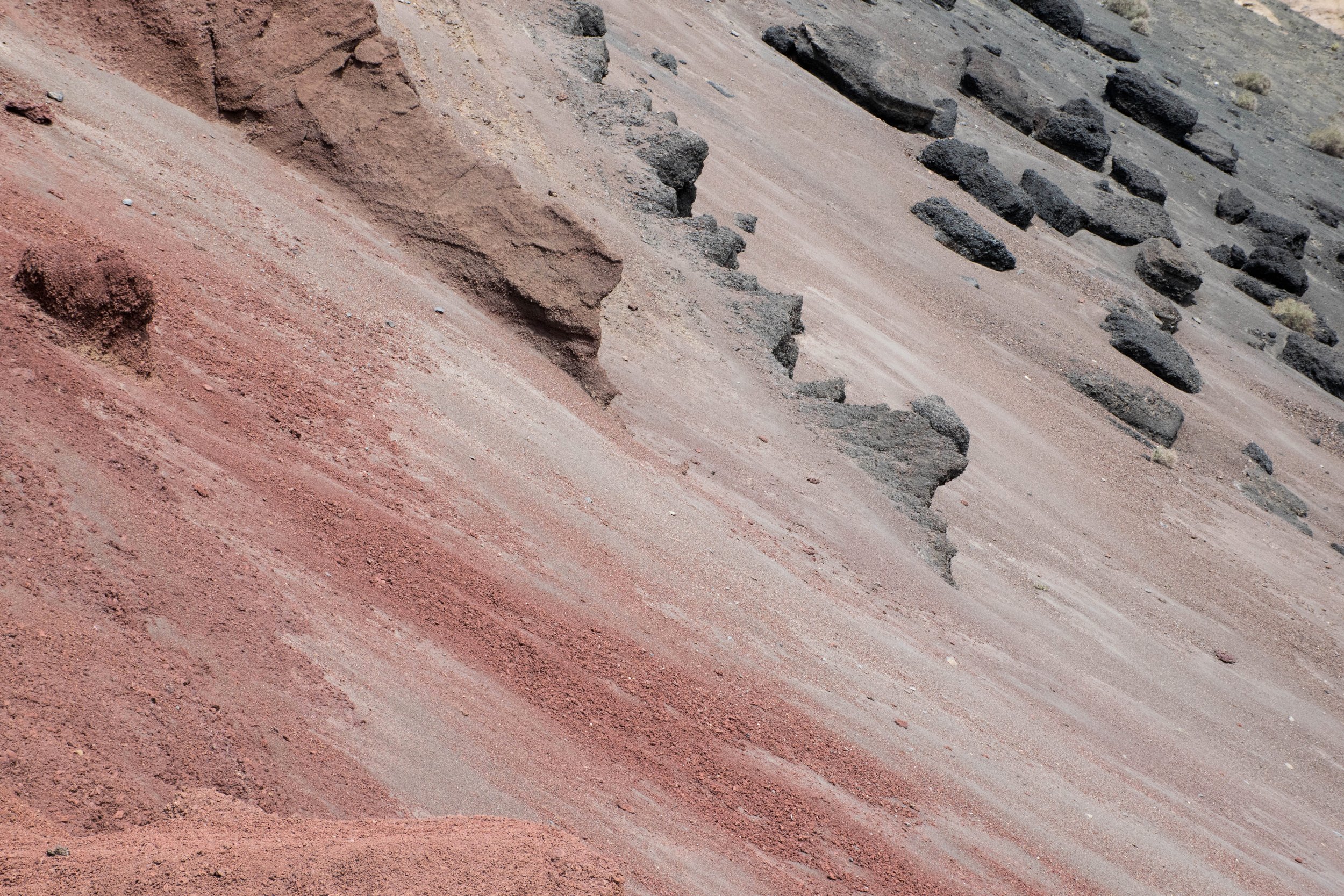 DSC_3668A.jpg