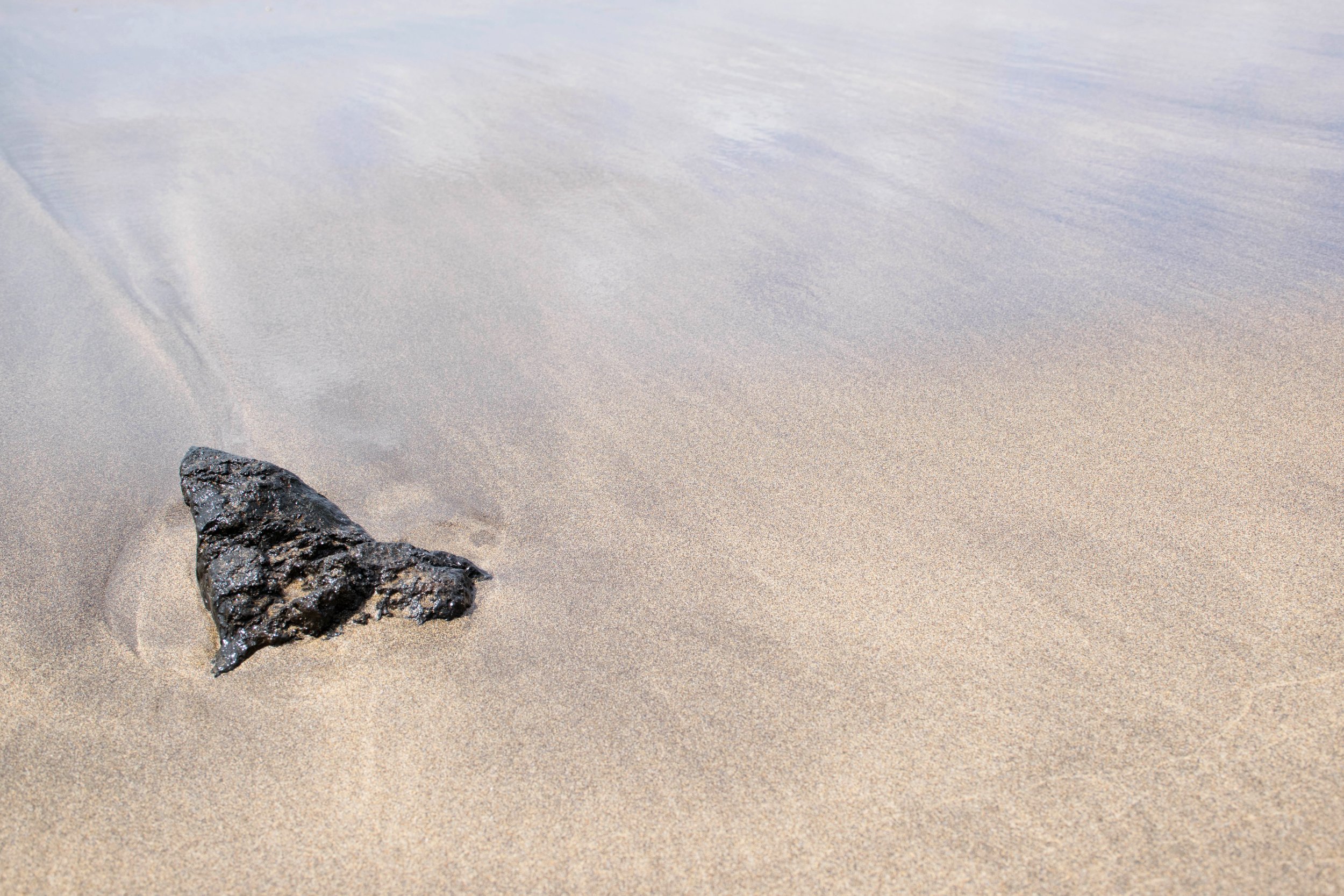 DSC_2309A.jpg