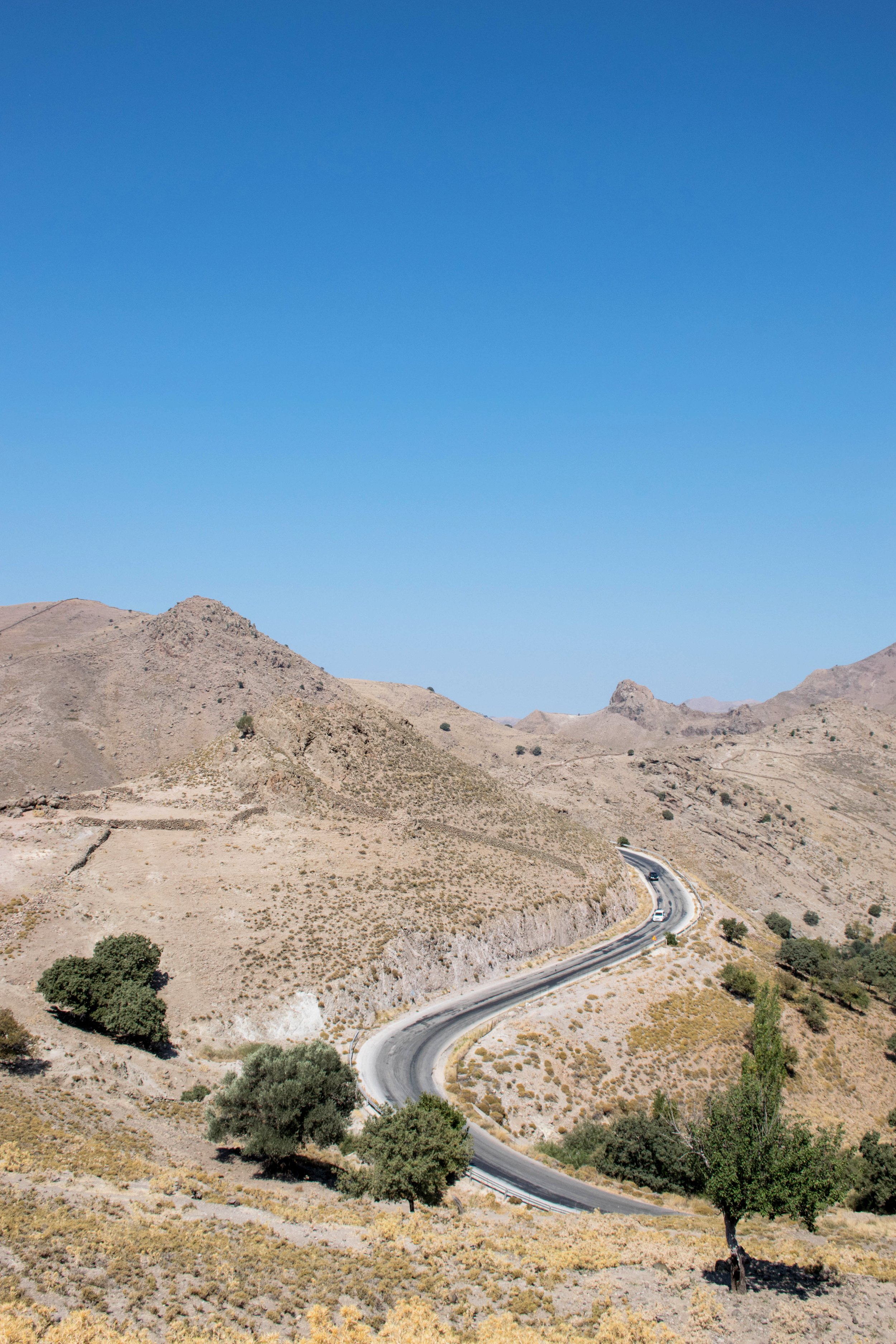 DSC_1967A.jpg
