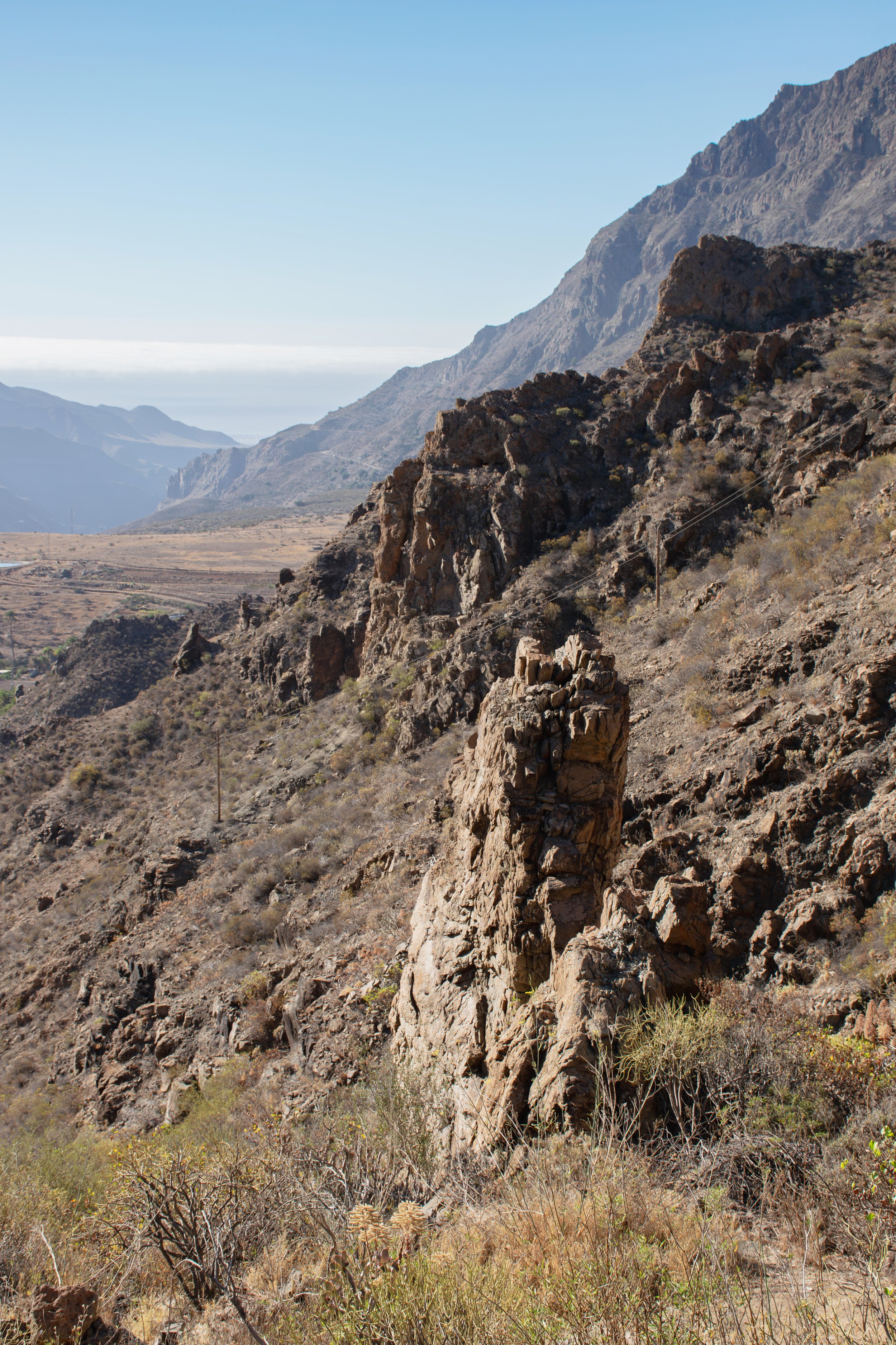 DSC_7372A.jpg