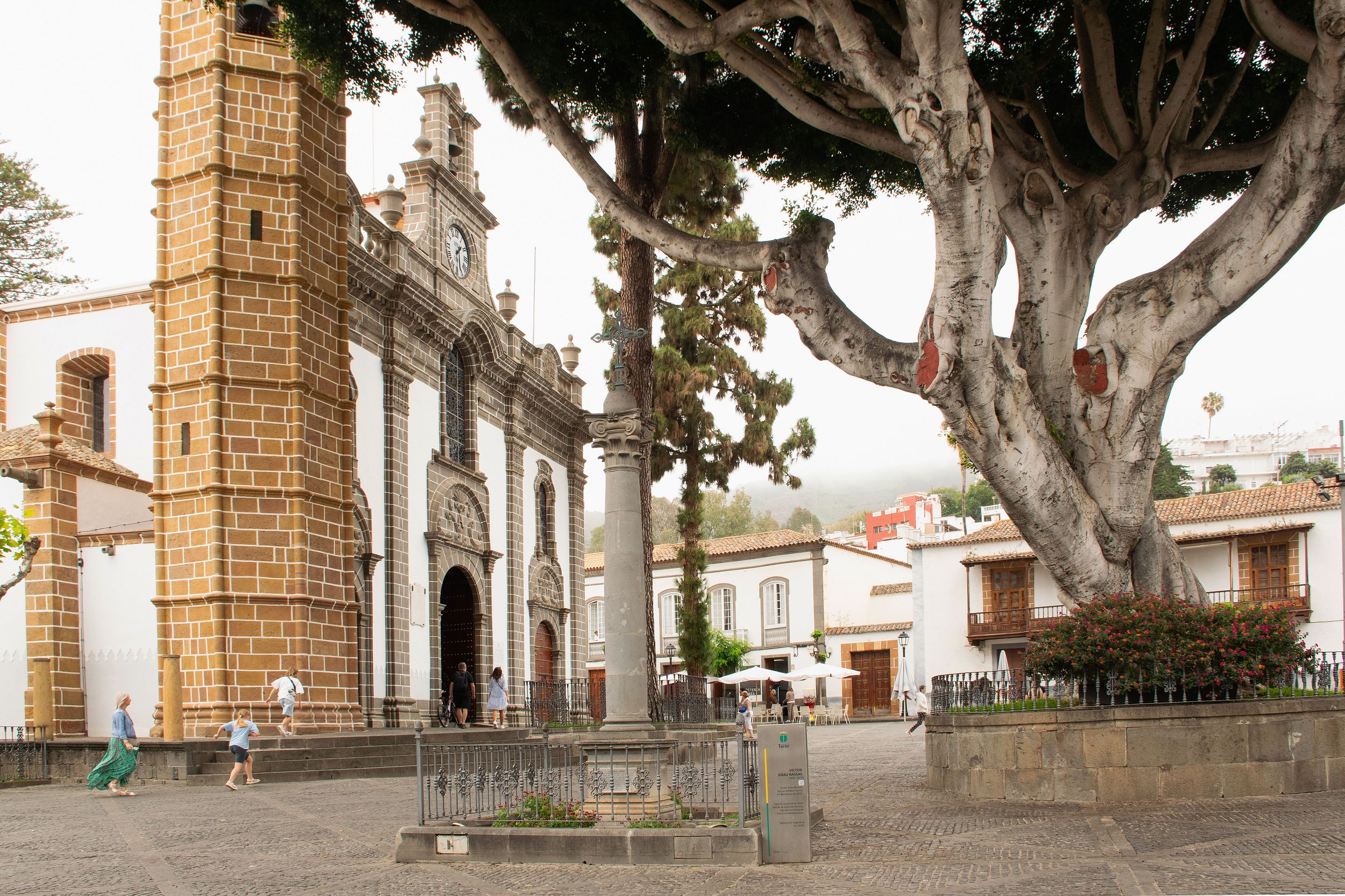 small town with church and tree centre gran canaria