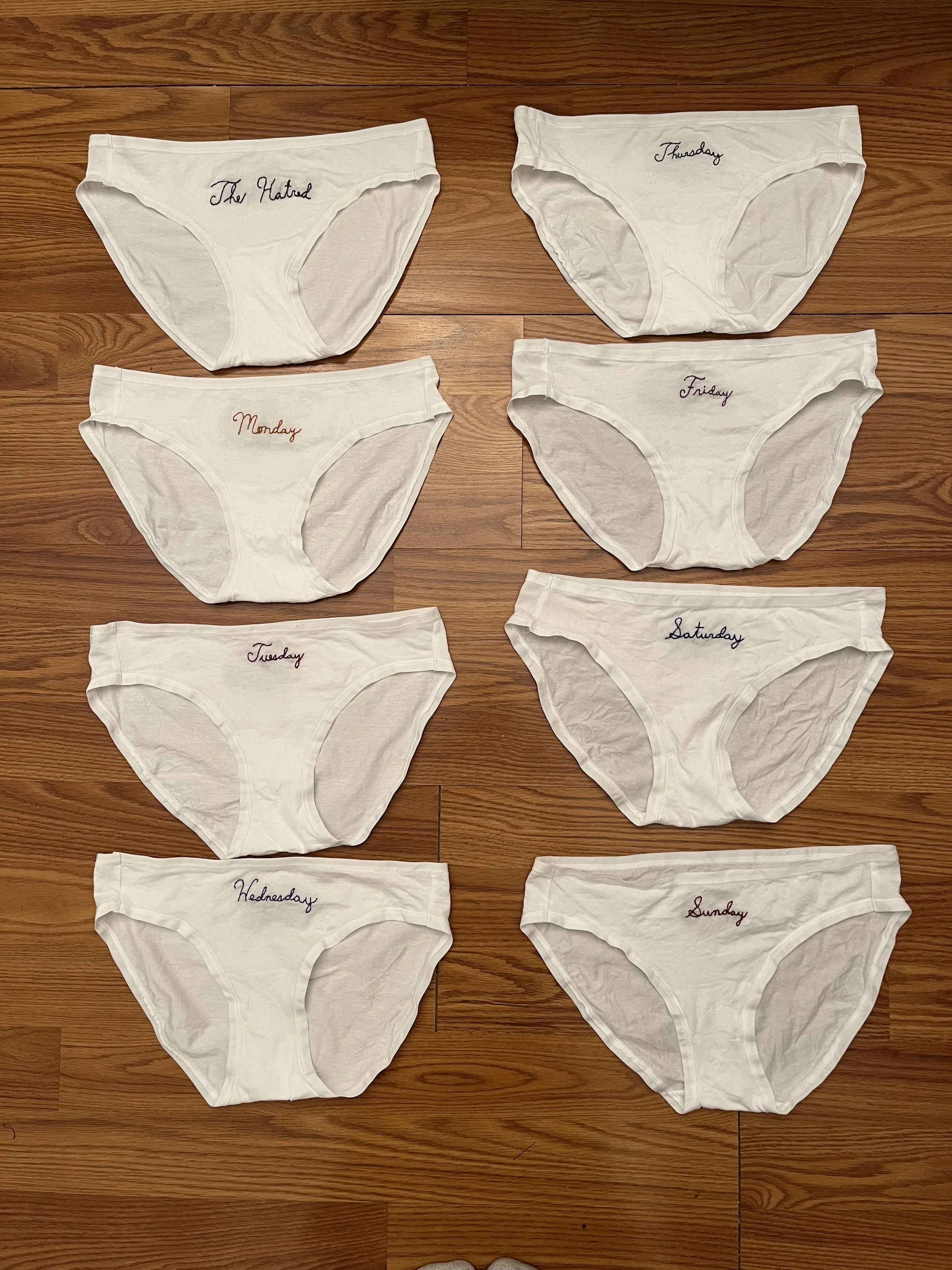 Custom days-of-the-week underwear commissioned for The Hatred short film / Hand embroidered by Eliza / June 2025