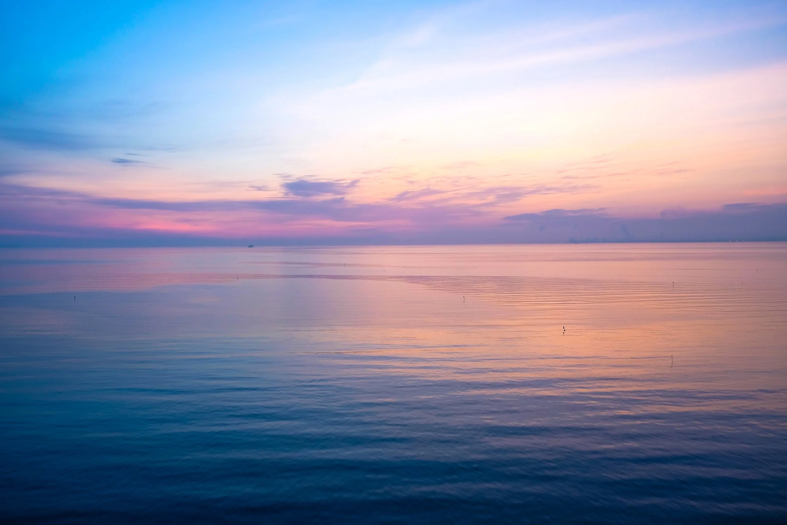 Q&amp;A:  The Basics of Celebrations of Life