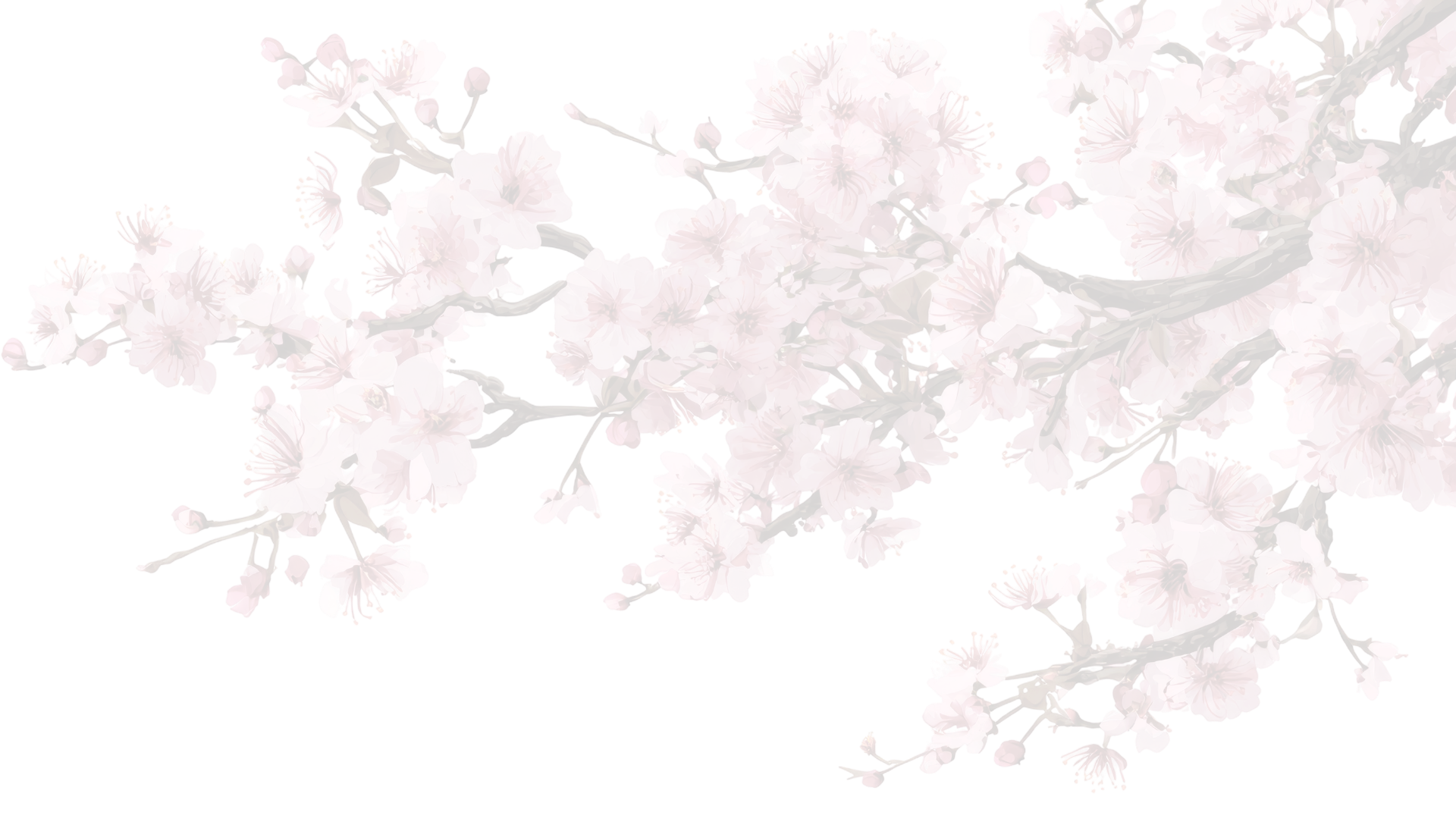 A digital painting of cherry blossom branches with pink flowers.
