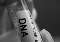 A primer on DNA forensics