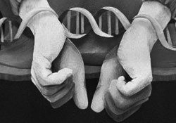 Not So Fast With That Rapid DNA