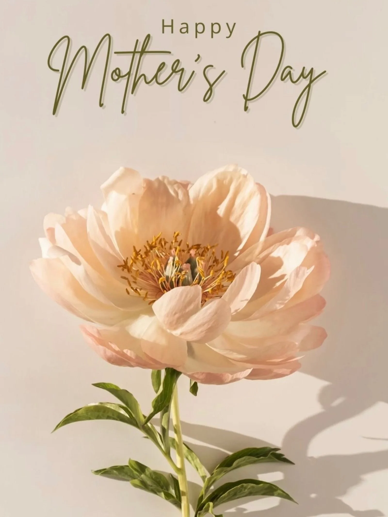 Happy Mother&rsquo;s Day to every kind of mama out there 🌷✨

To the moms, stepmoms, dog moms, godmothers, mother figures, the women longing to become mothers, and the ones choosing a different path, today is about celebrating the love, strength, and