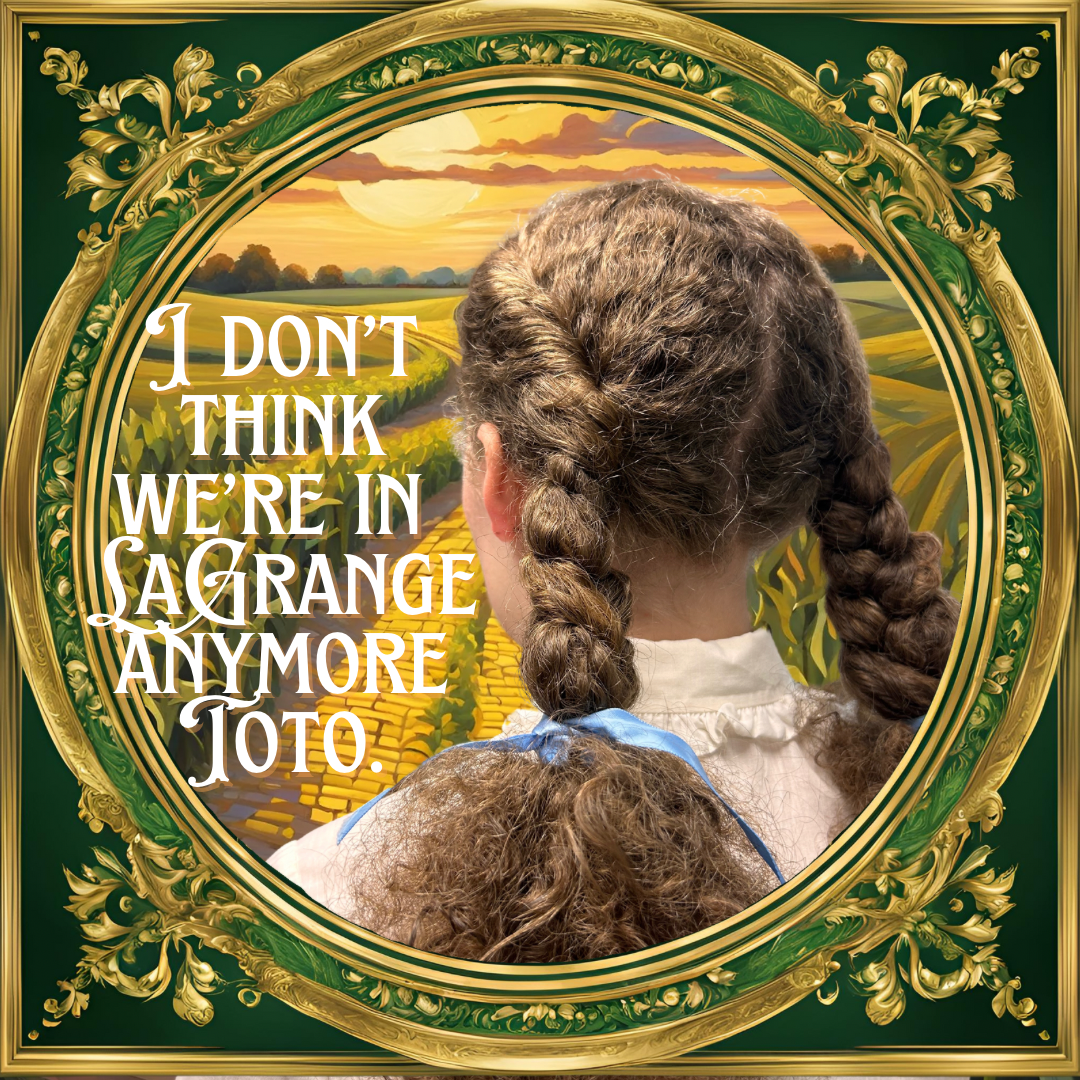 A girl with braided hair dressed in a white shirt with a blue ribbon, viewed from behind, looking at a landscape sunset with rolling fields, framed with an ornate gold and green frame, and overlaid with the text 'I DON'T THINK WE'RE IN SAGRAANGE ANYM