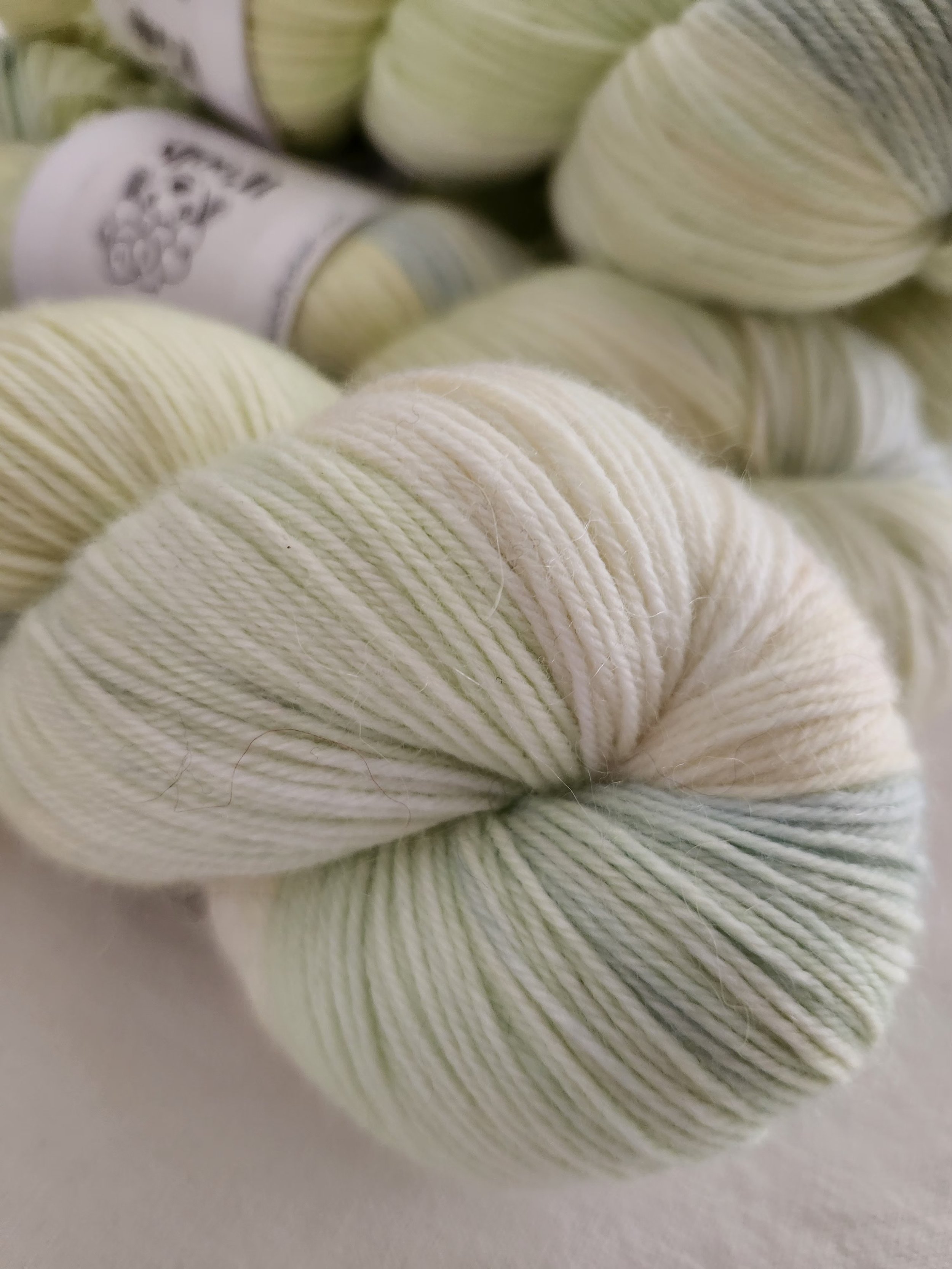 20260226_110316 - Copie.jpg