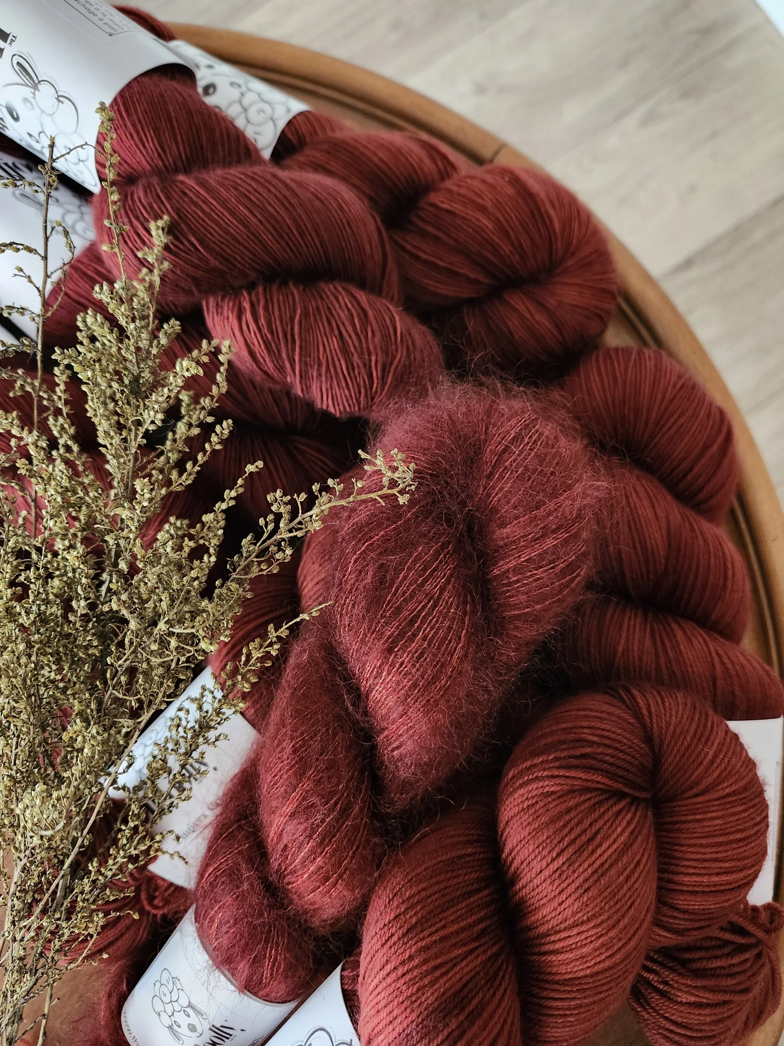 Collection – Sugar Maple