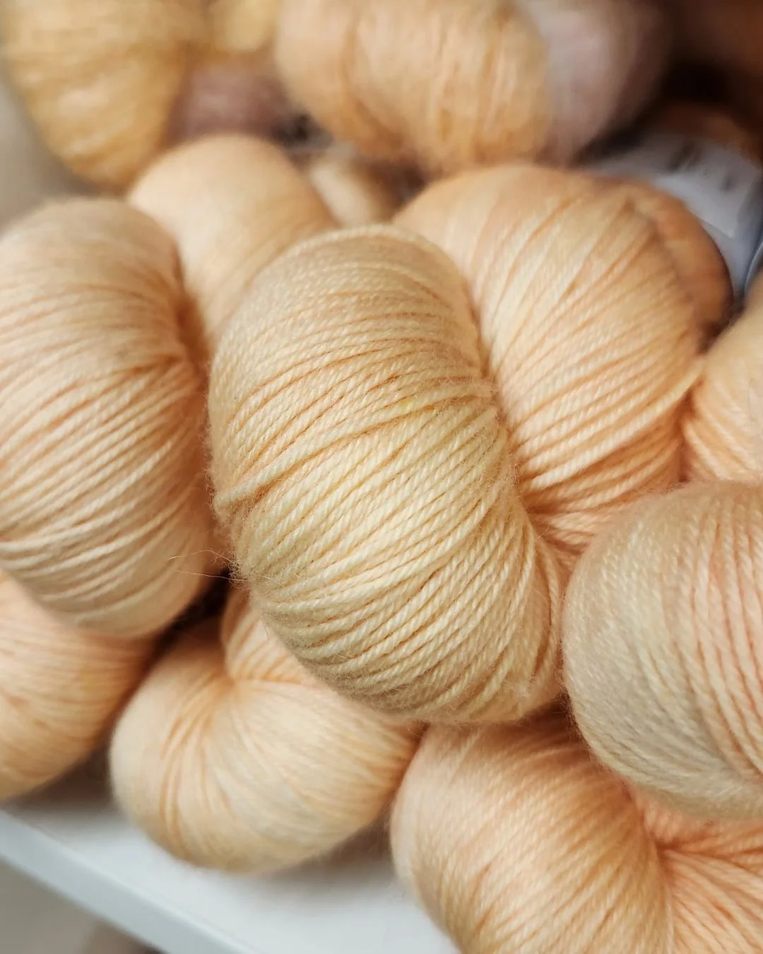 Collection – Papaye