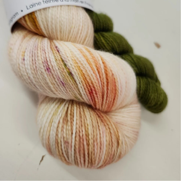 Design sans titre - 2026-02-03T130259.324.png