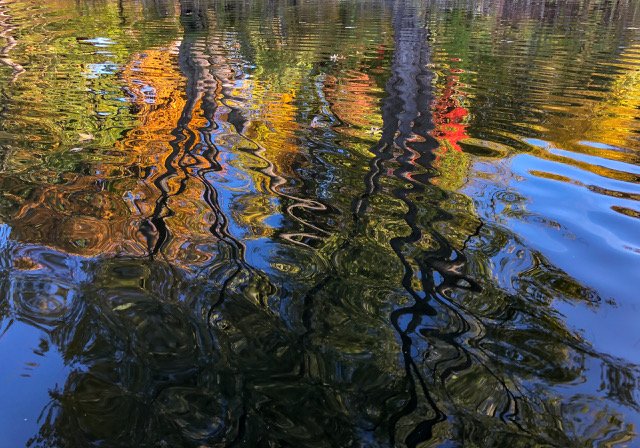 Gratitude for my teachers