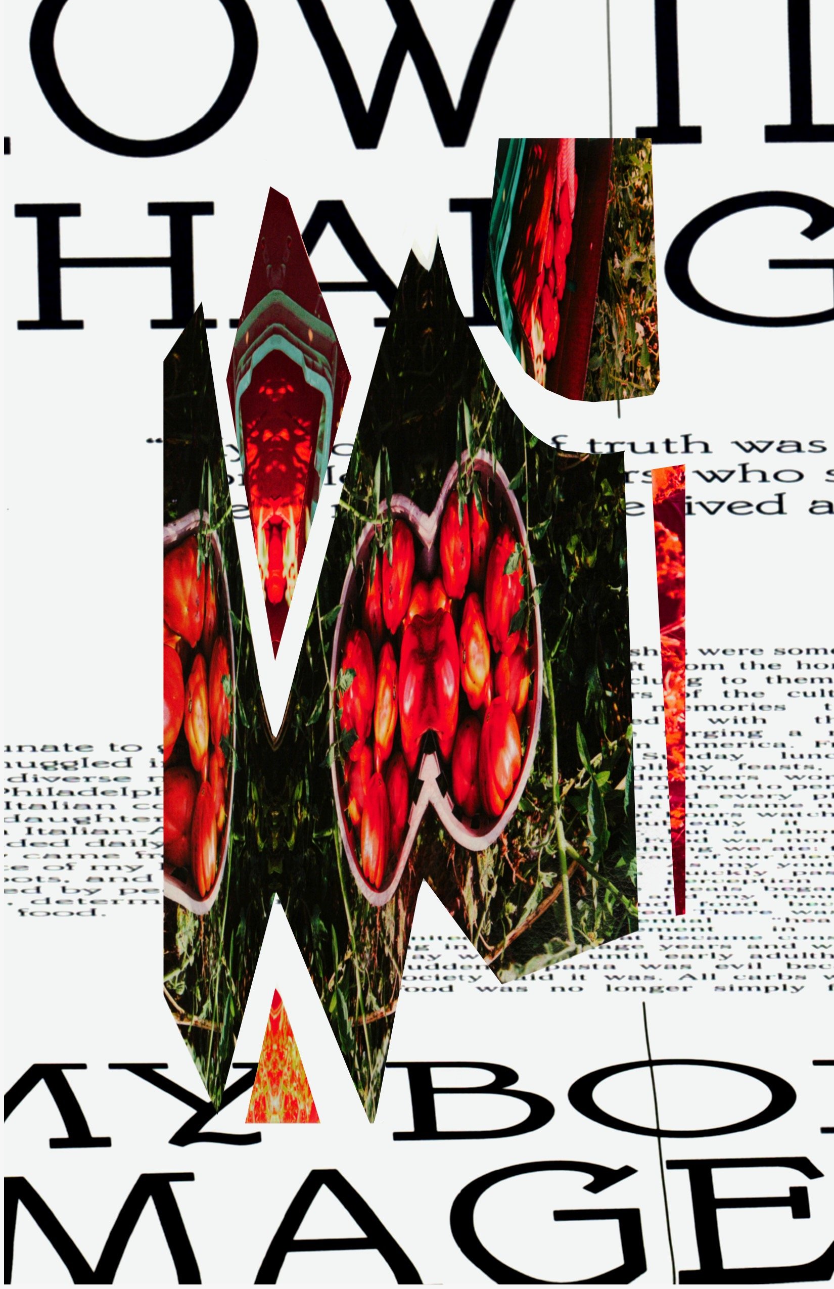 Untitled_Artwork 6.jpeg