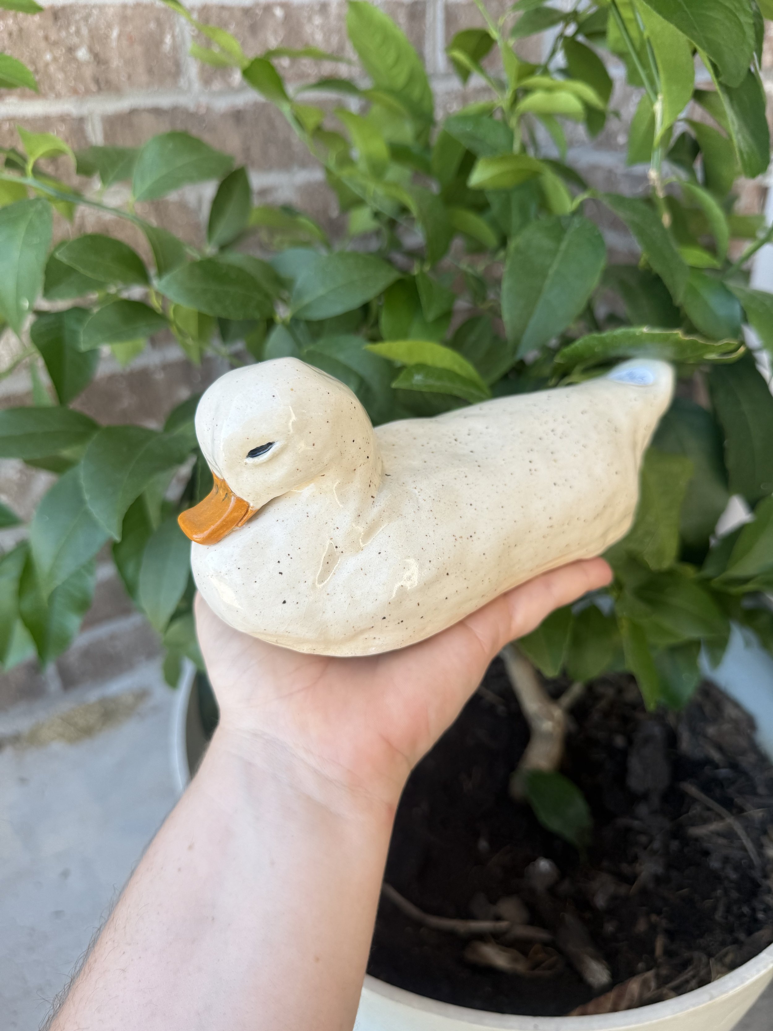 Ceramic duck