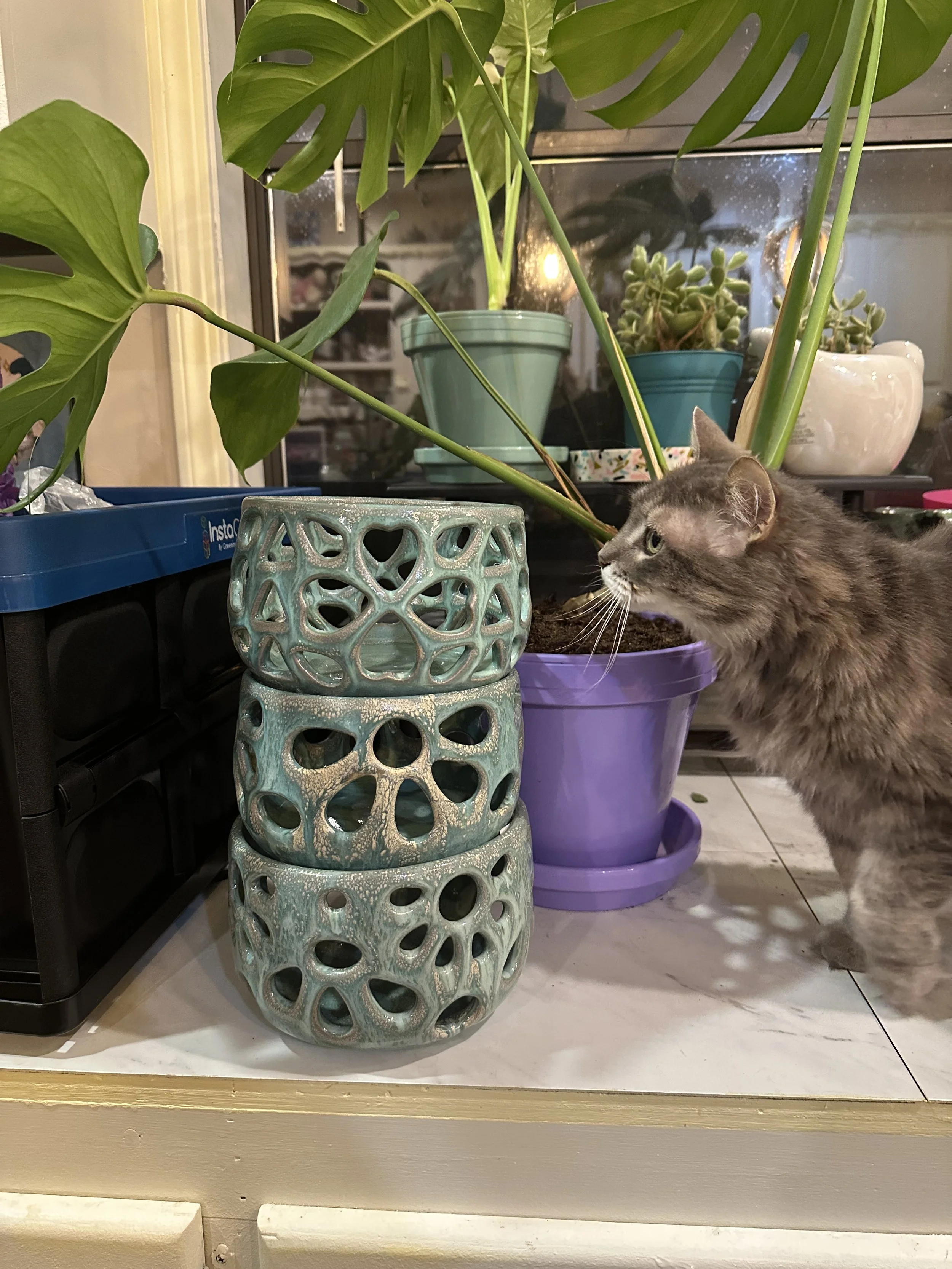 Three carved ceramic pots in green glaze next to plants with a cat staring at them