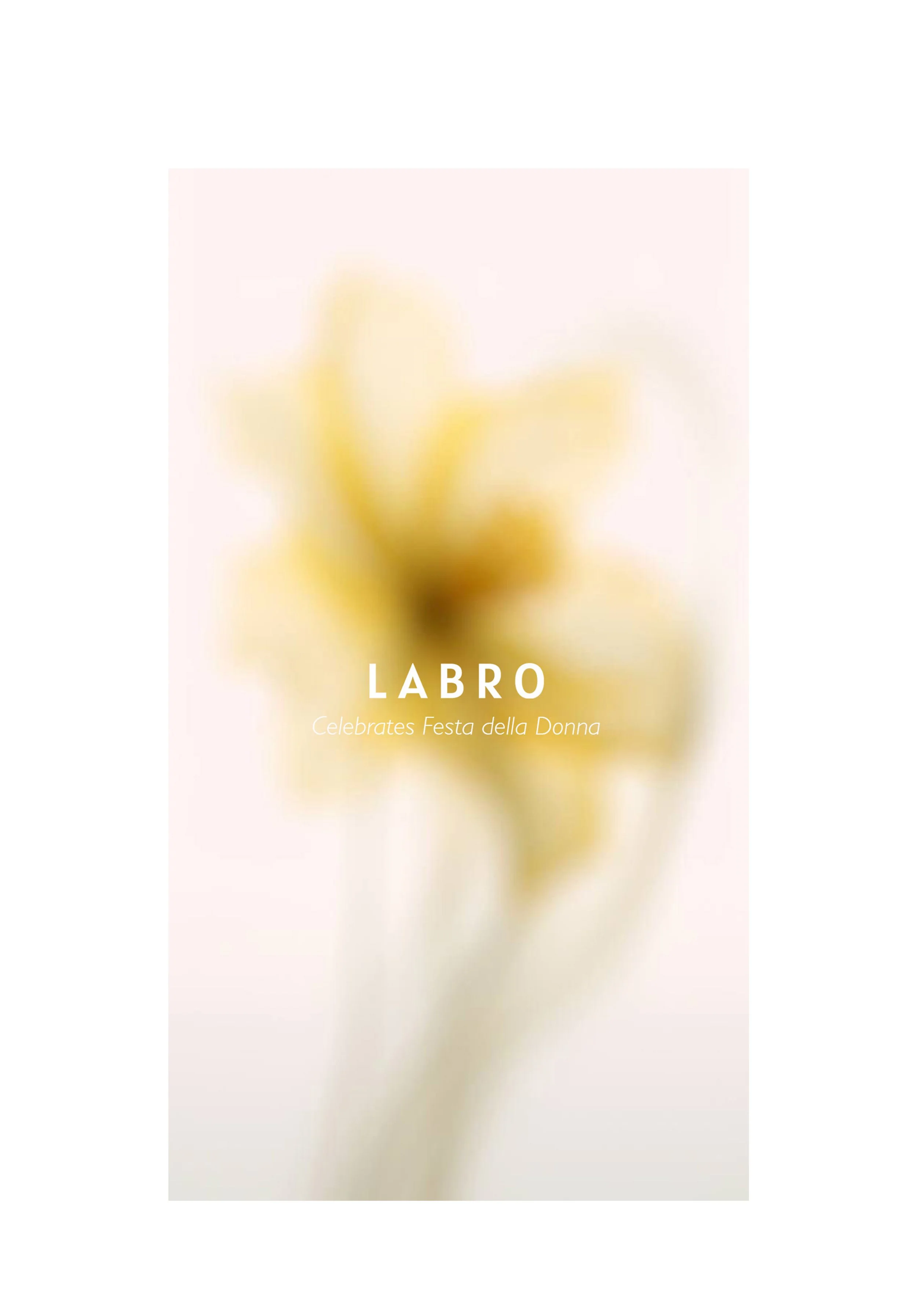 Labro della donna.jpg