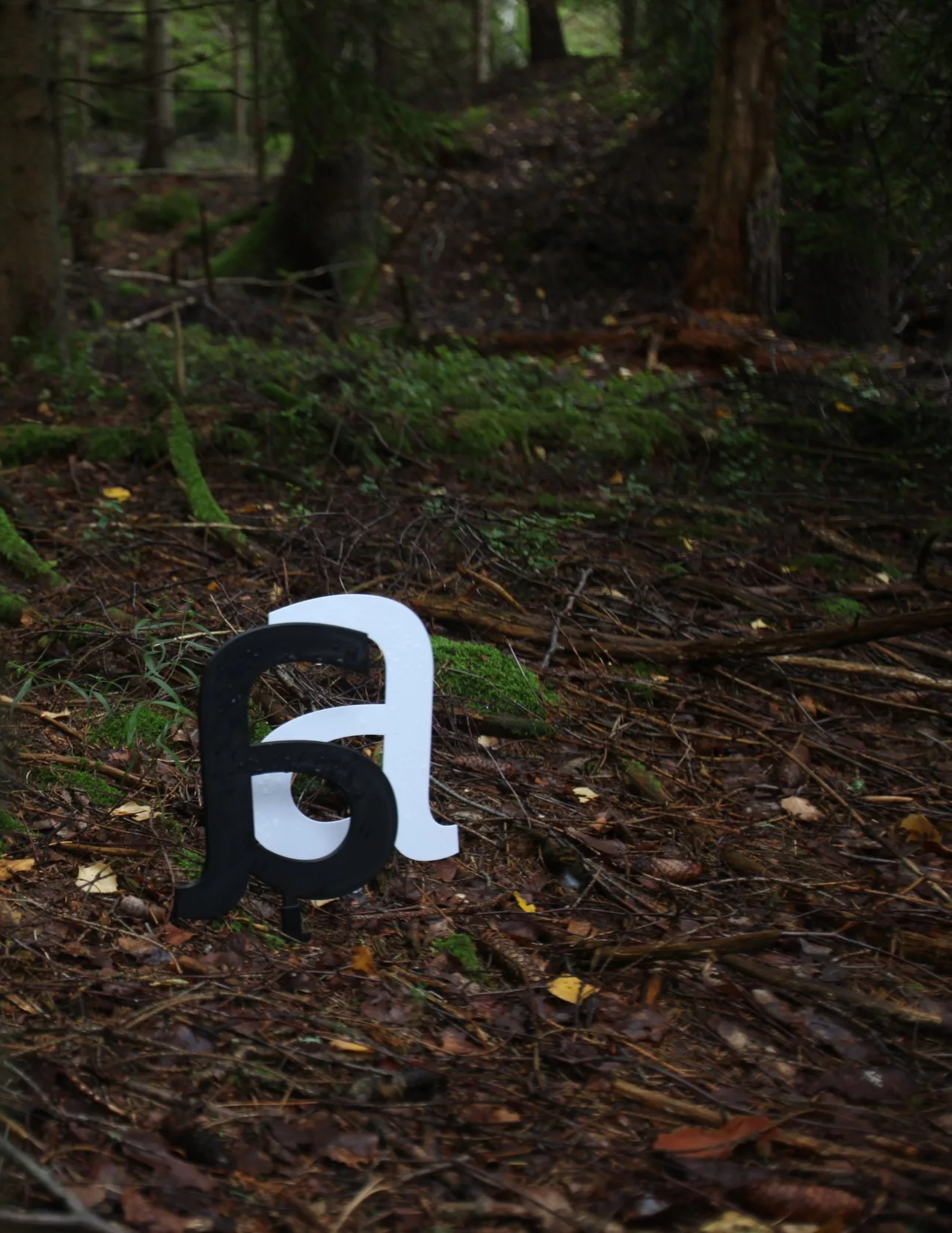 IMG_0115.png