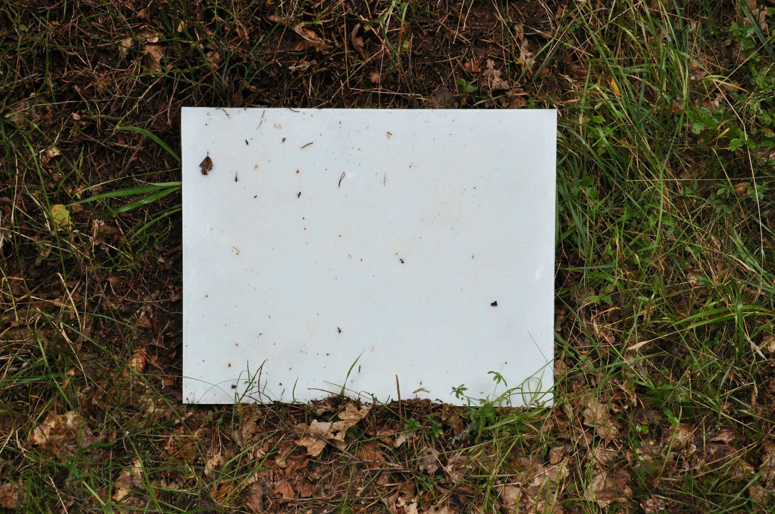 DSC_0436.JPG