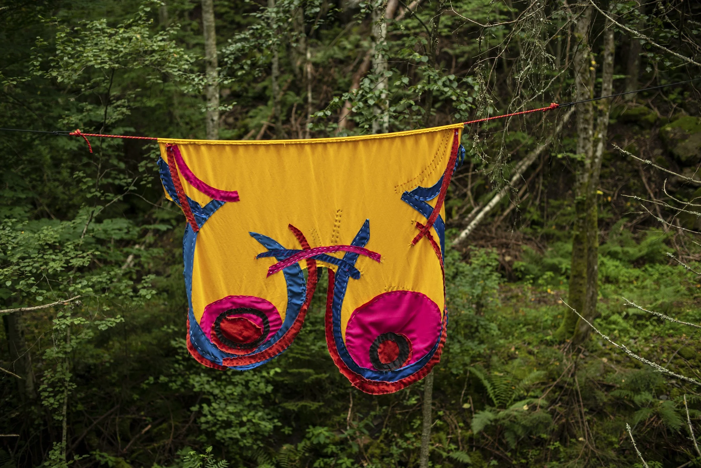_DSC6465.JPG