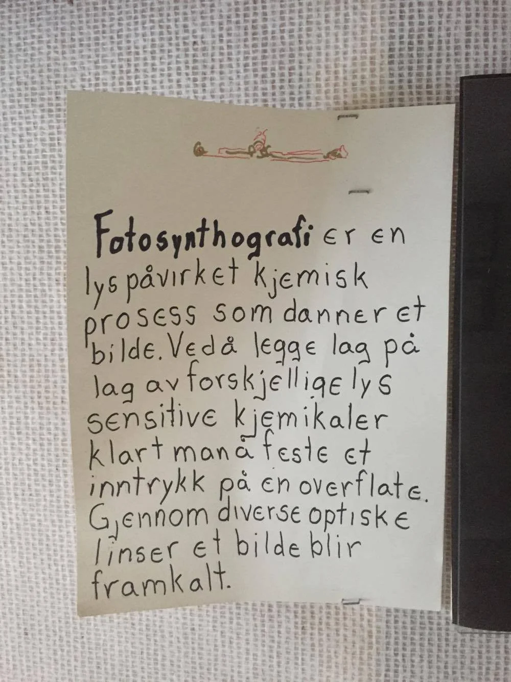 tim2.jpg