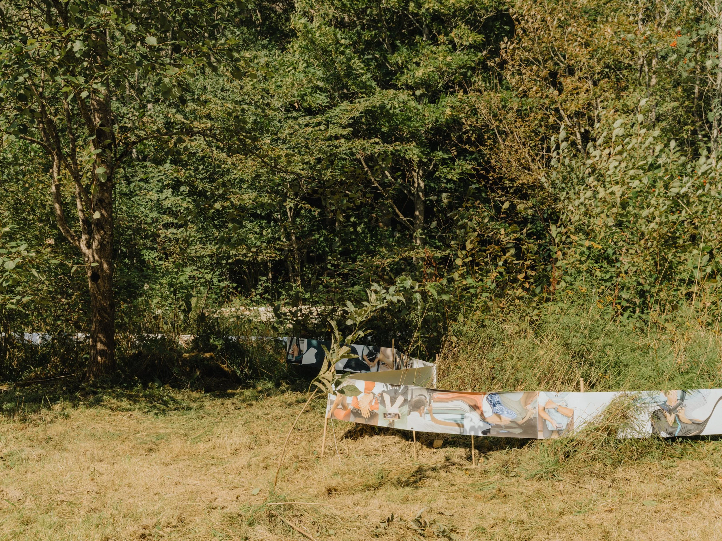 Dev Dhunsi — Stream of