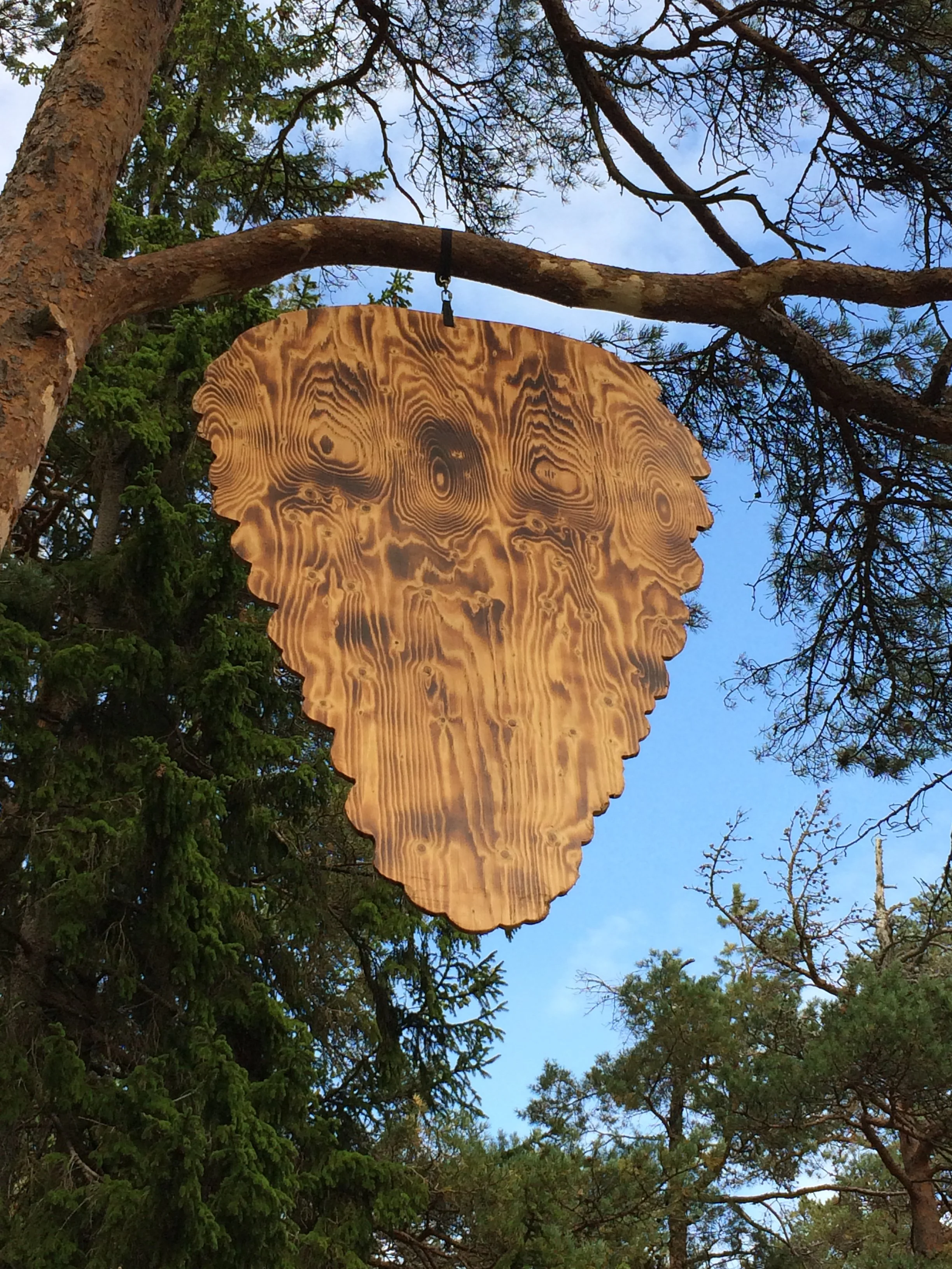UntitledPineCone1-1.jpg