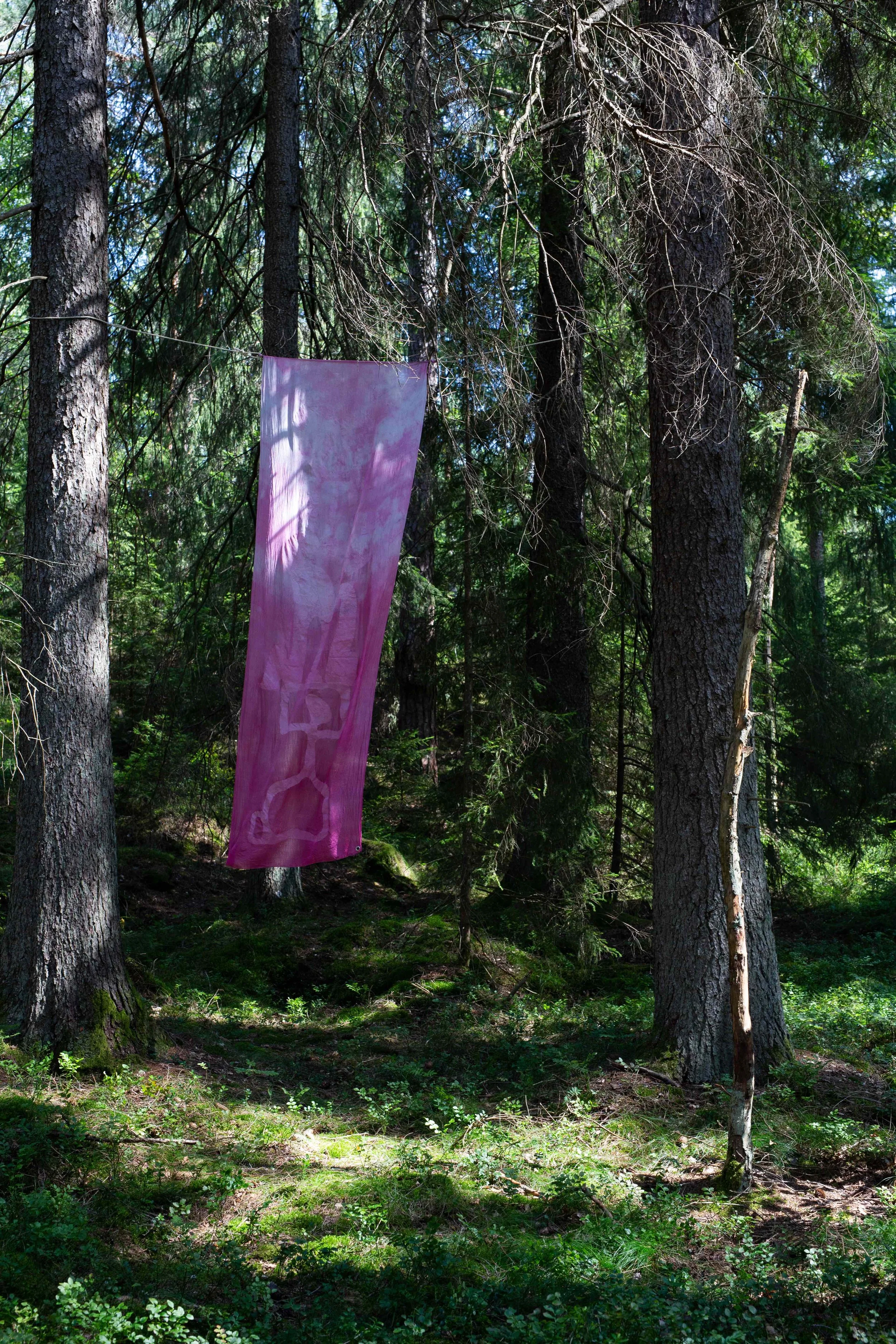 Silketrykkets venner